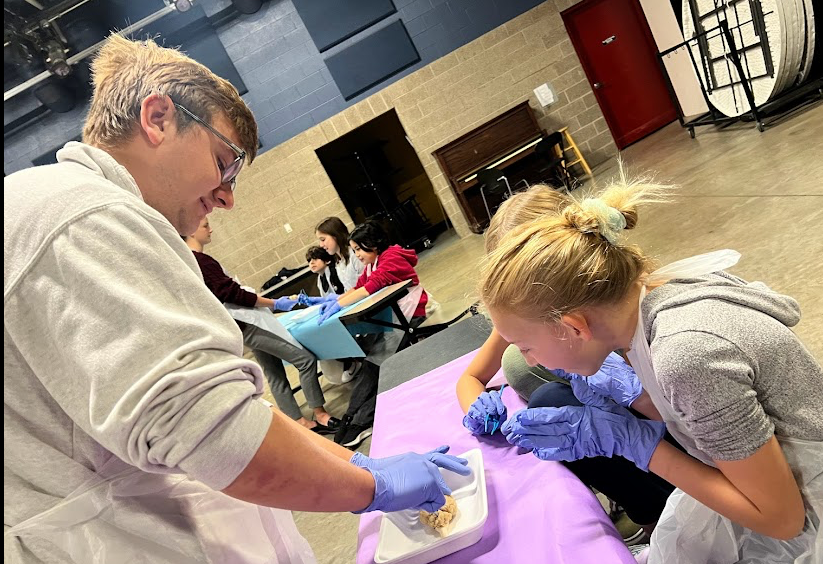 anatomy-academy-children-learning-body-dissection-utah