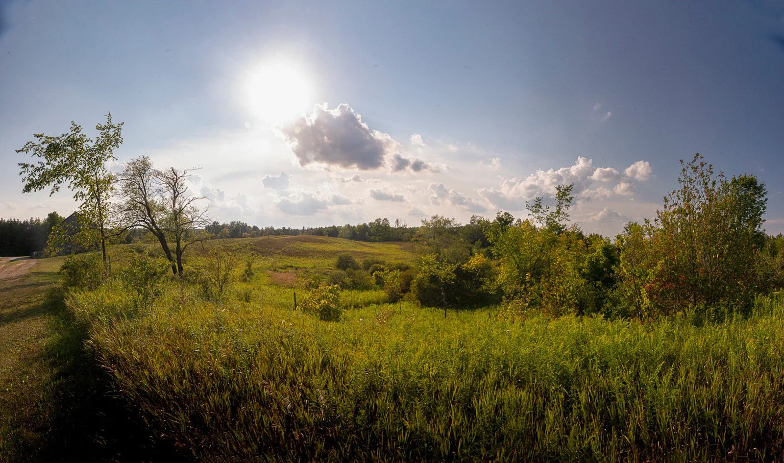 A rural landscape with grassy fields, scattered trees, and a partly cloudy sky with the sun shining through the clouds.