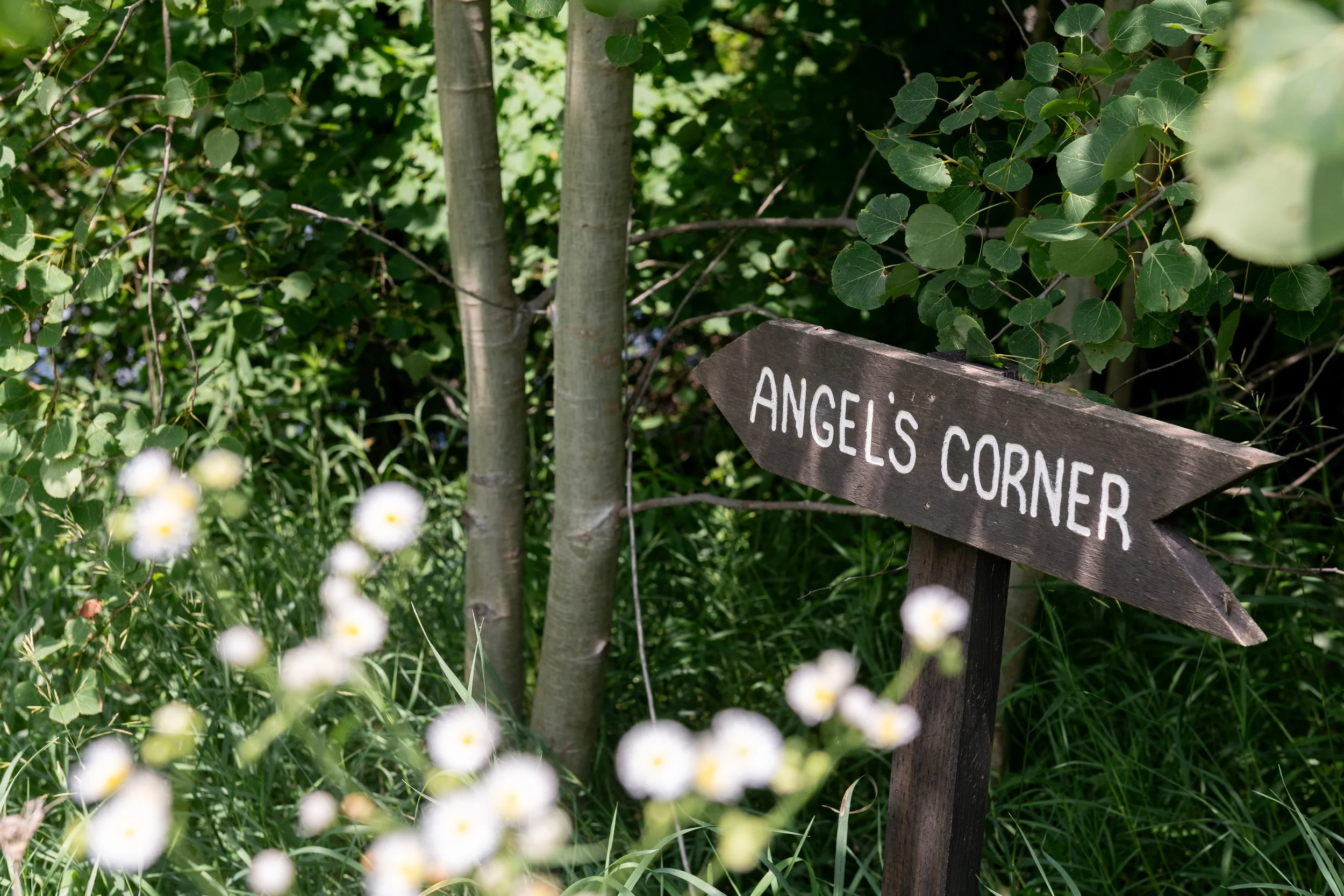 A wooden arrow-shaped sign reading 'Angel's Corner' in a lush green garden with white daisies and trees.