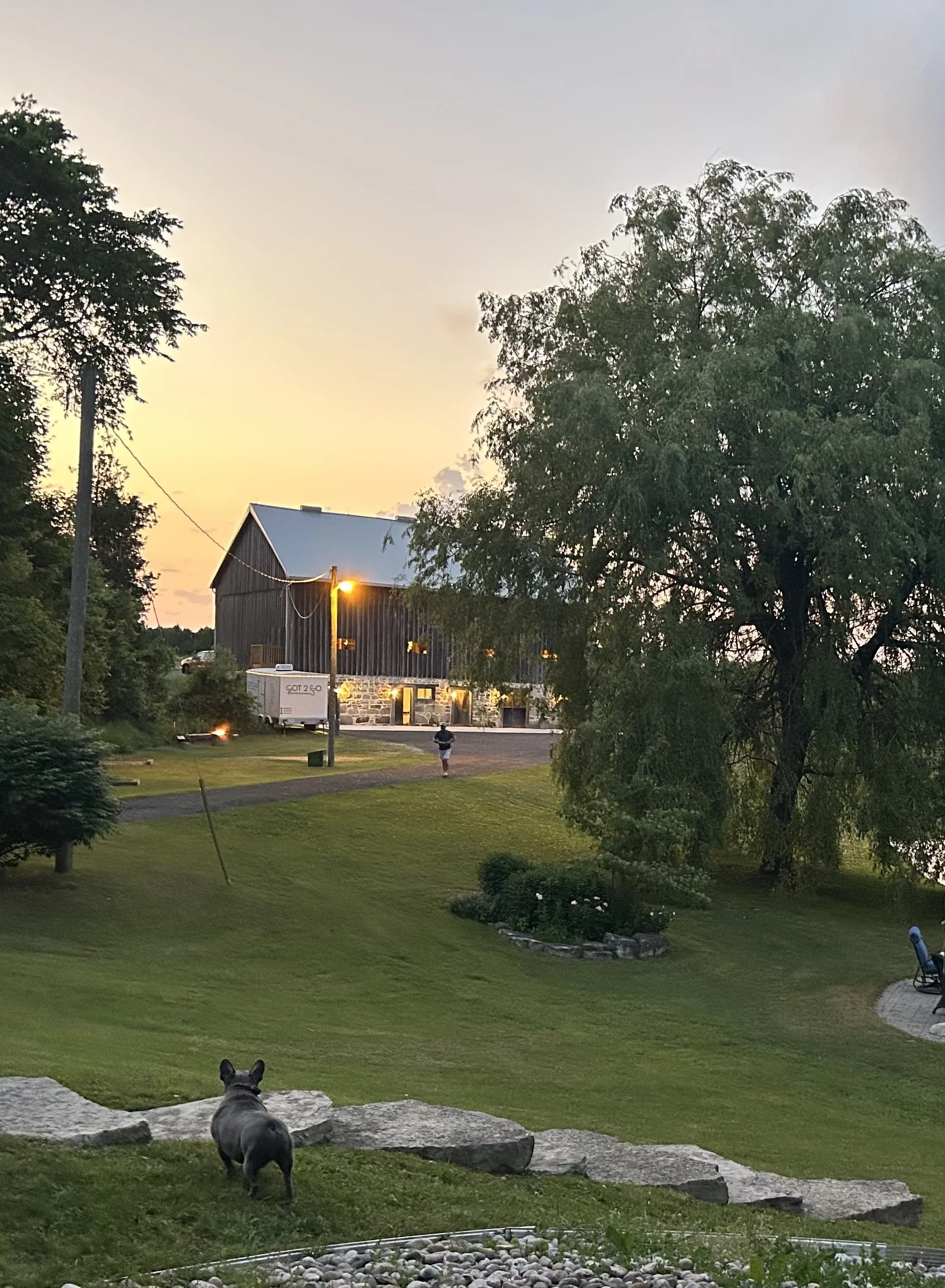 A dog in the foreground overlooks a grassy yard with large rocks, a garden bed, and trees. In the background, a barn with stone and wood construction, a small person walking, and a trailer are visible at sunset.