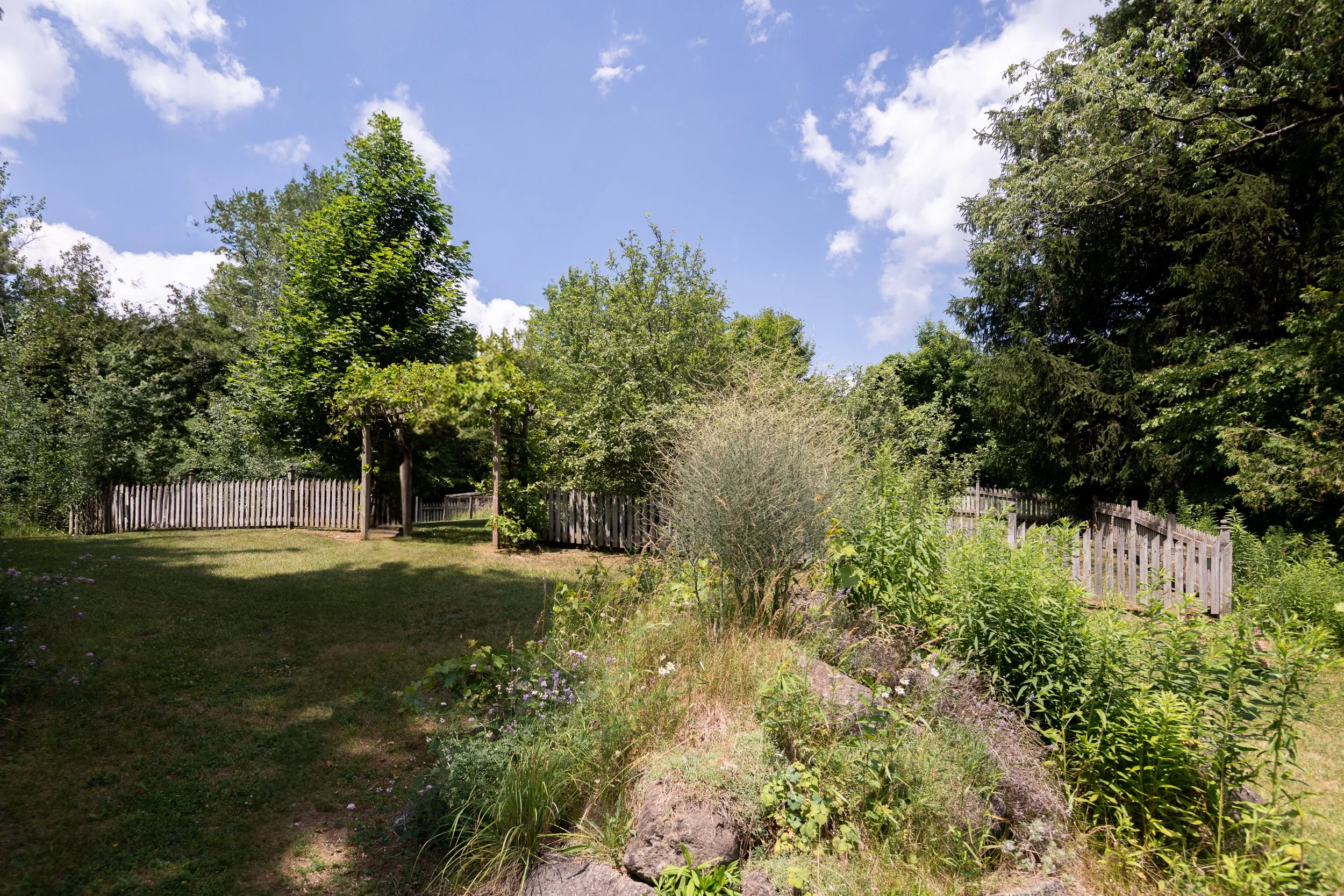 A lush green backyard with a fence, trees, and bushes under a bright blue sky with some white clouds.