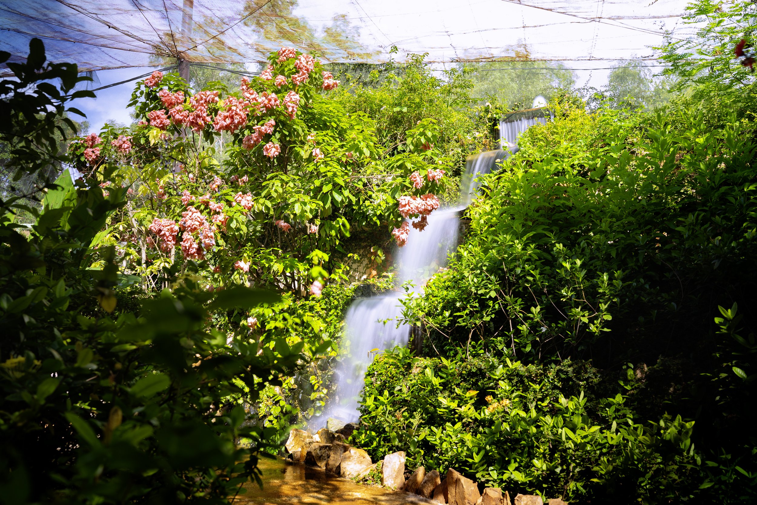 NTA09476 copy.jpg