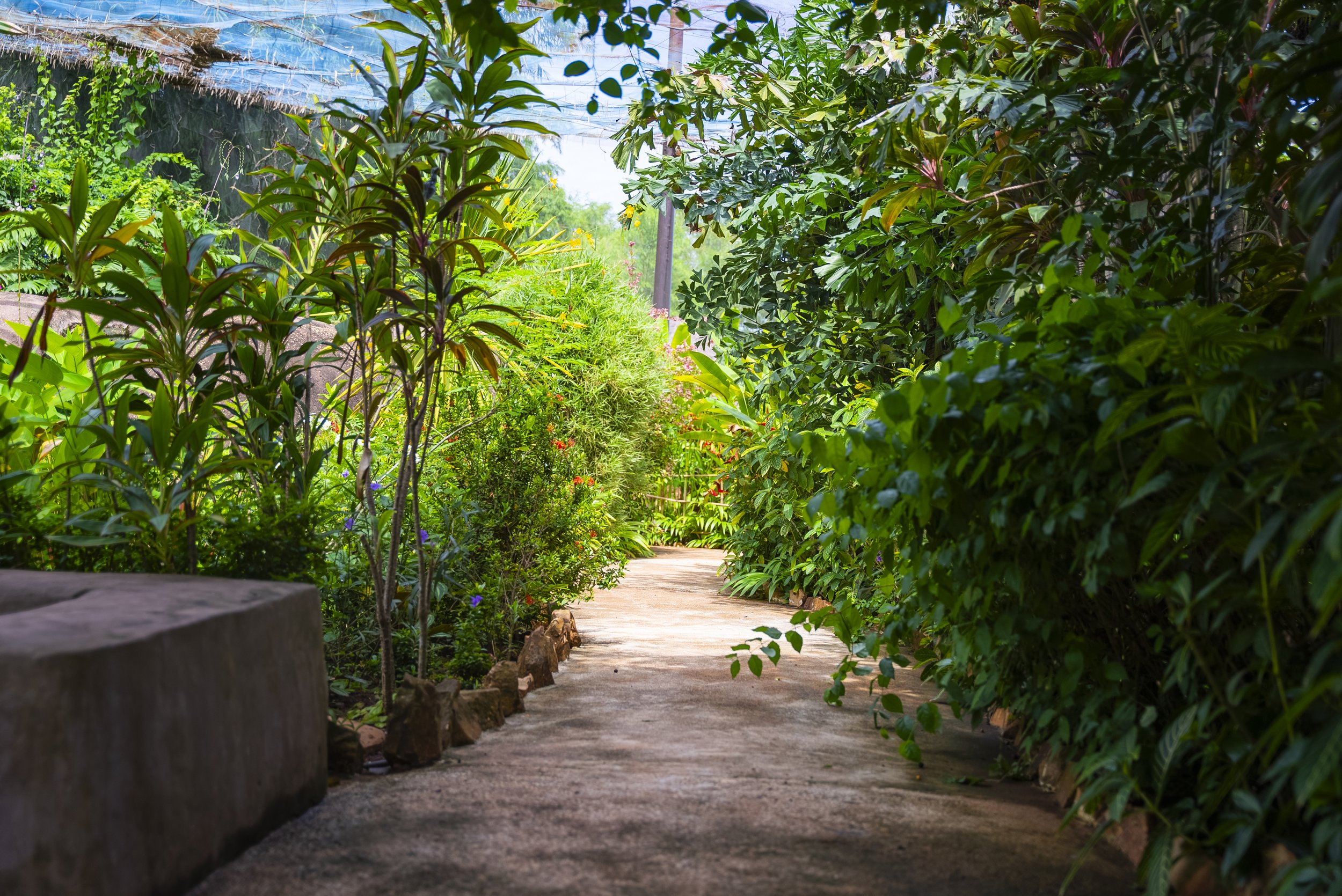 NTA00039-HDR.jpg
