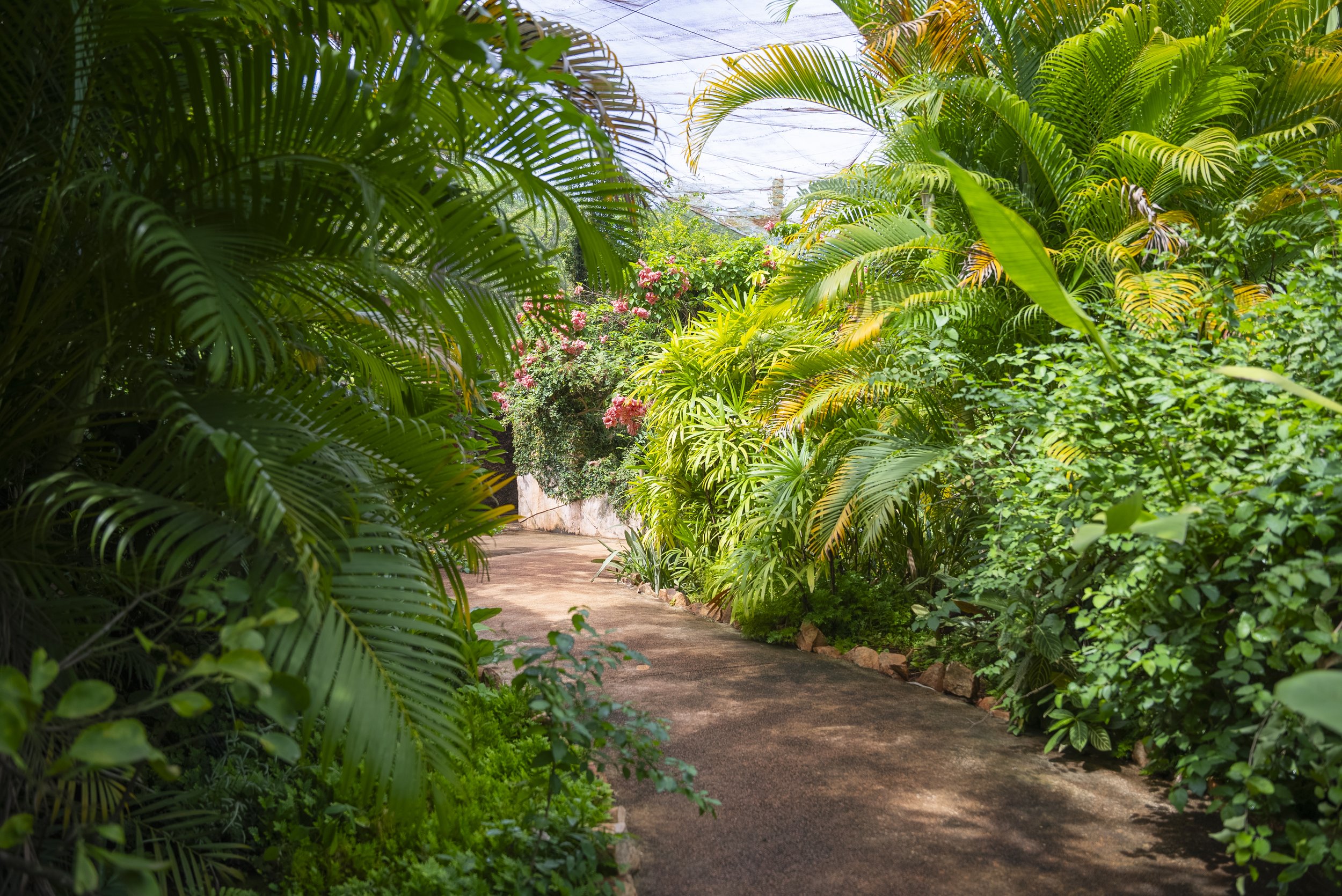 NTA09966-HDR.jpg