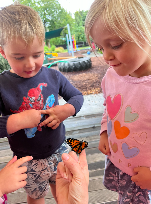 Hatching Butterflies