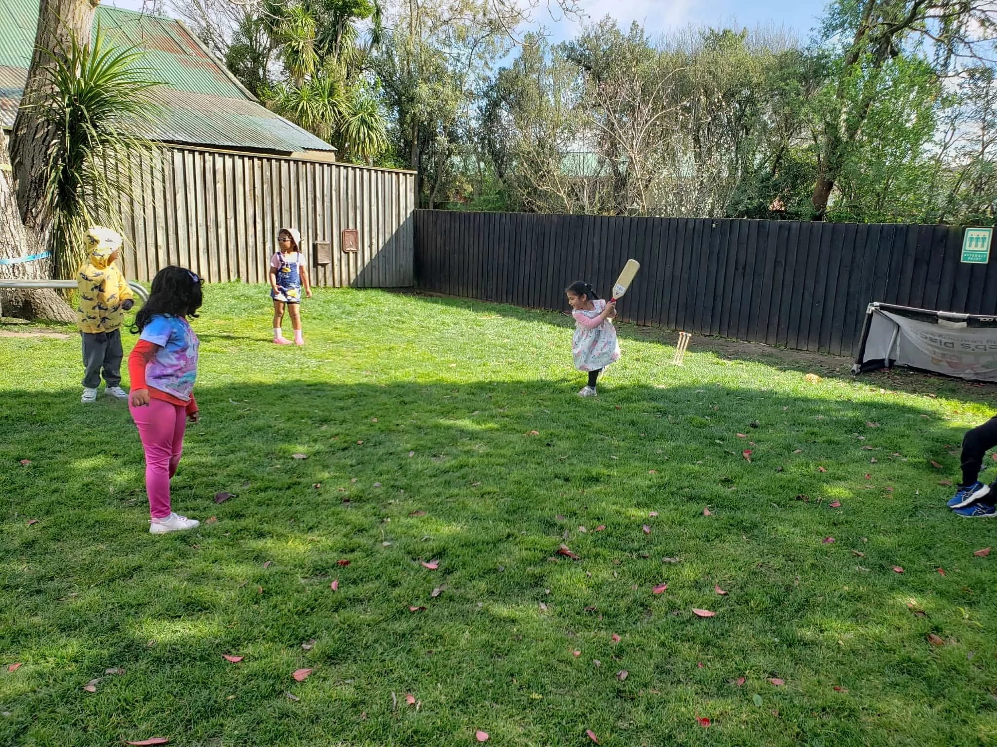 Backyard Cricket