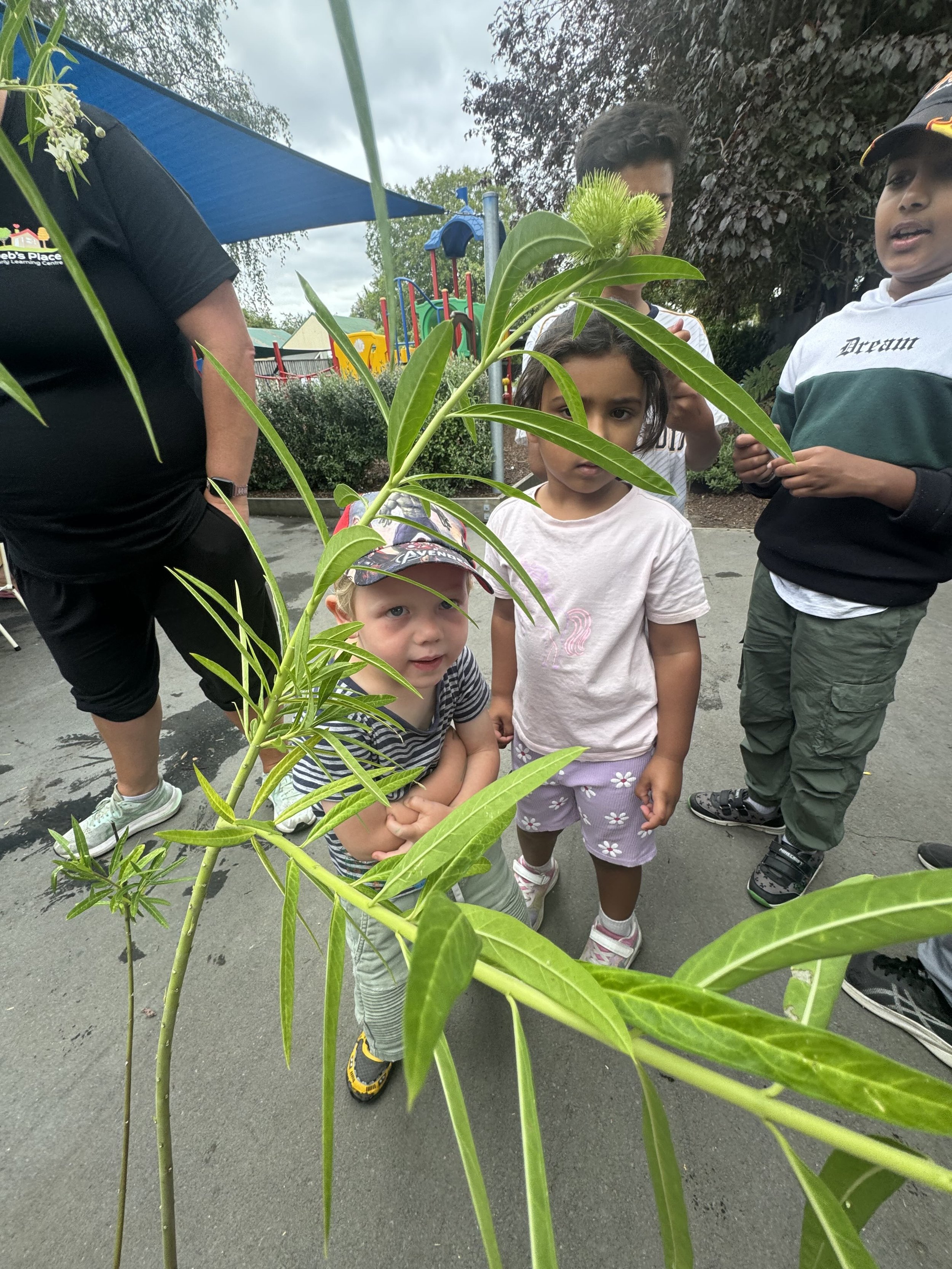 It’s caterpillar season