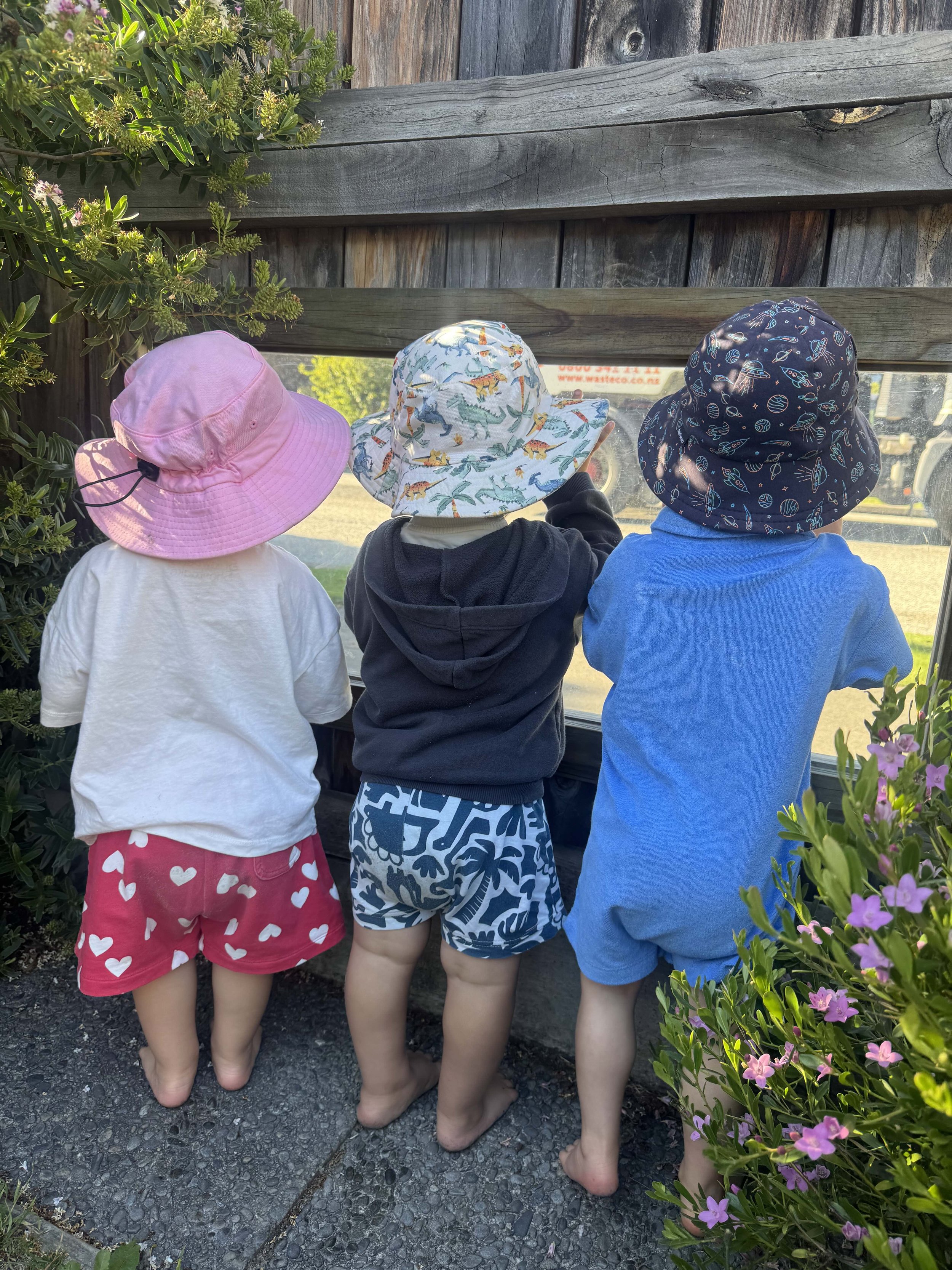 Neighbourhood Watch