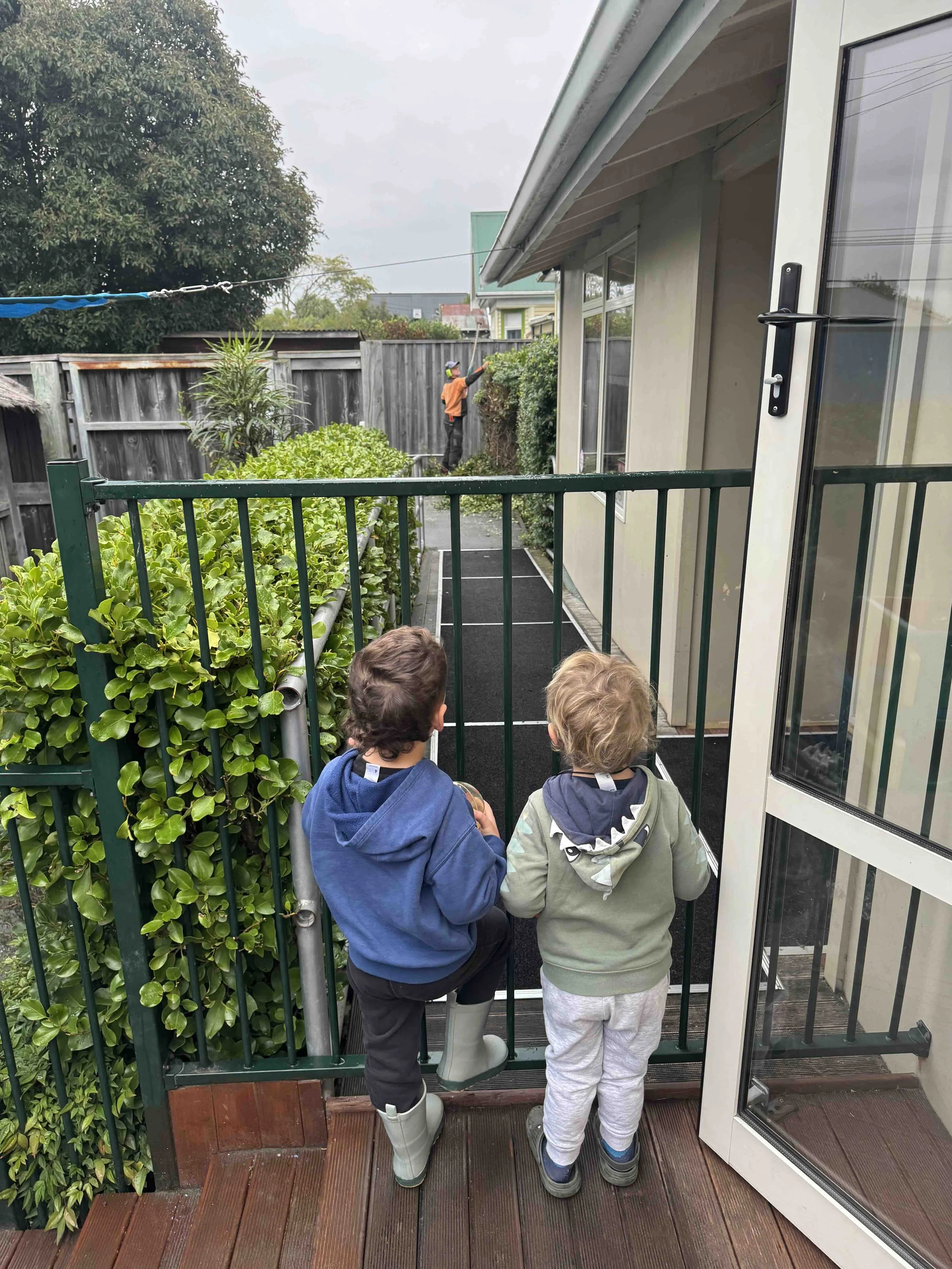 Visit from the Arbourist
