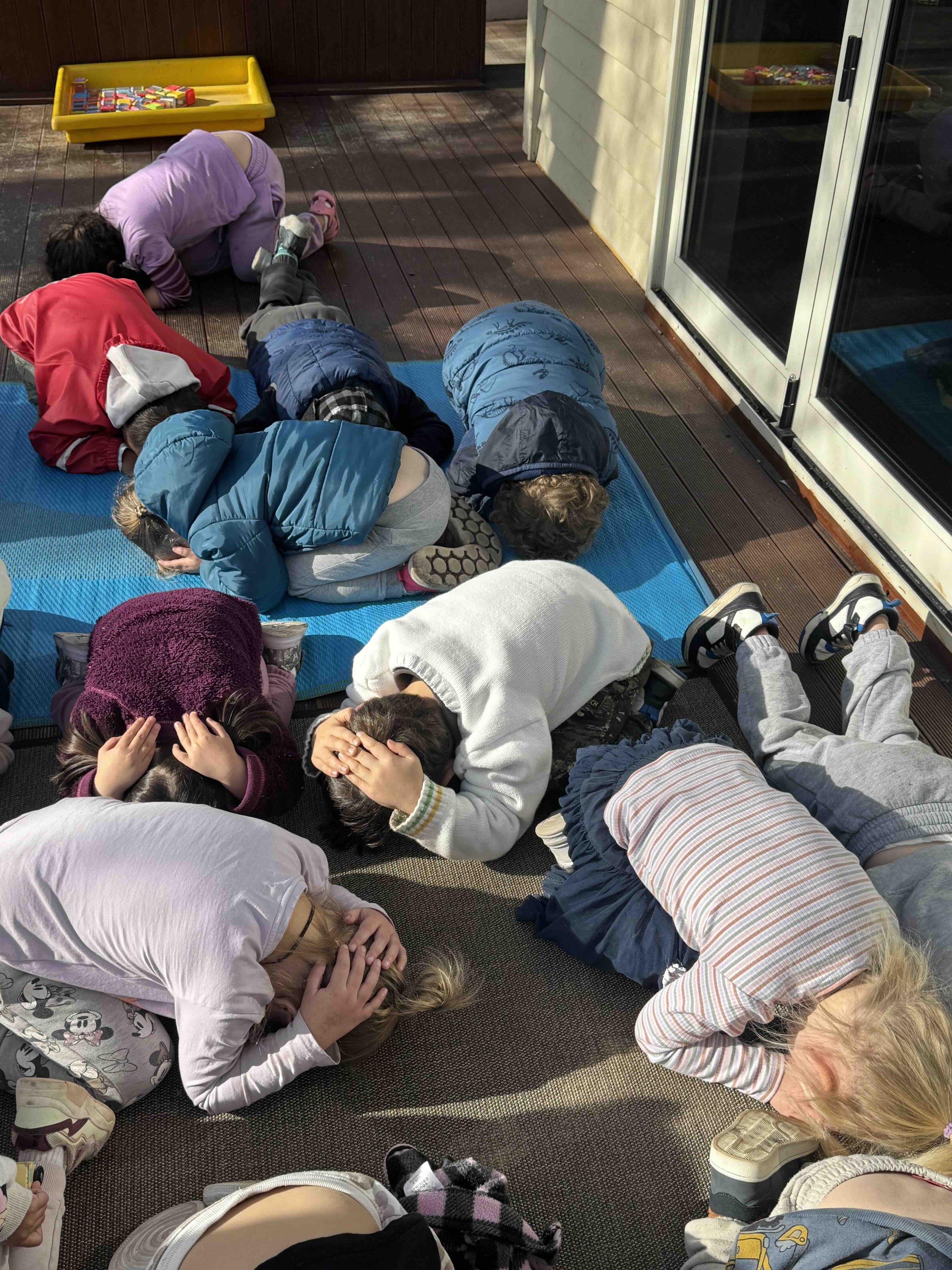 Practicing Earthquake Turtles
