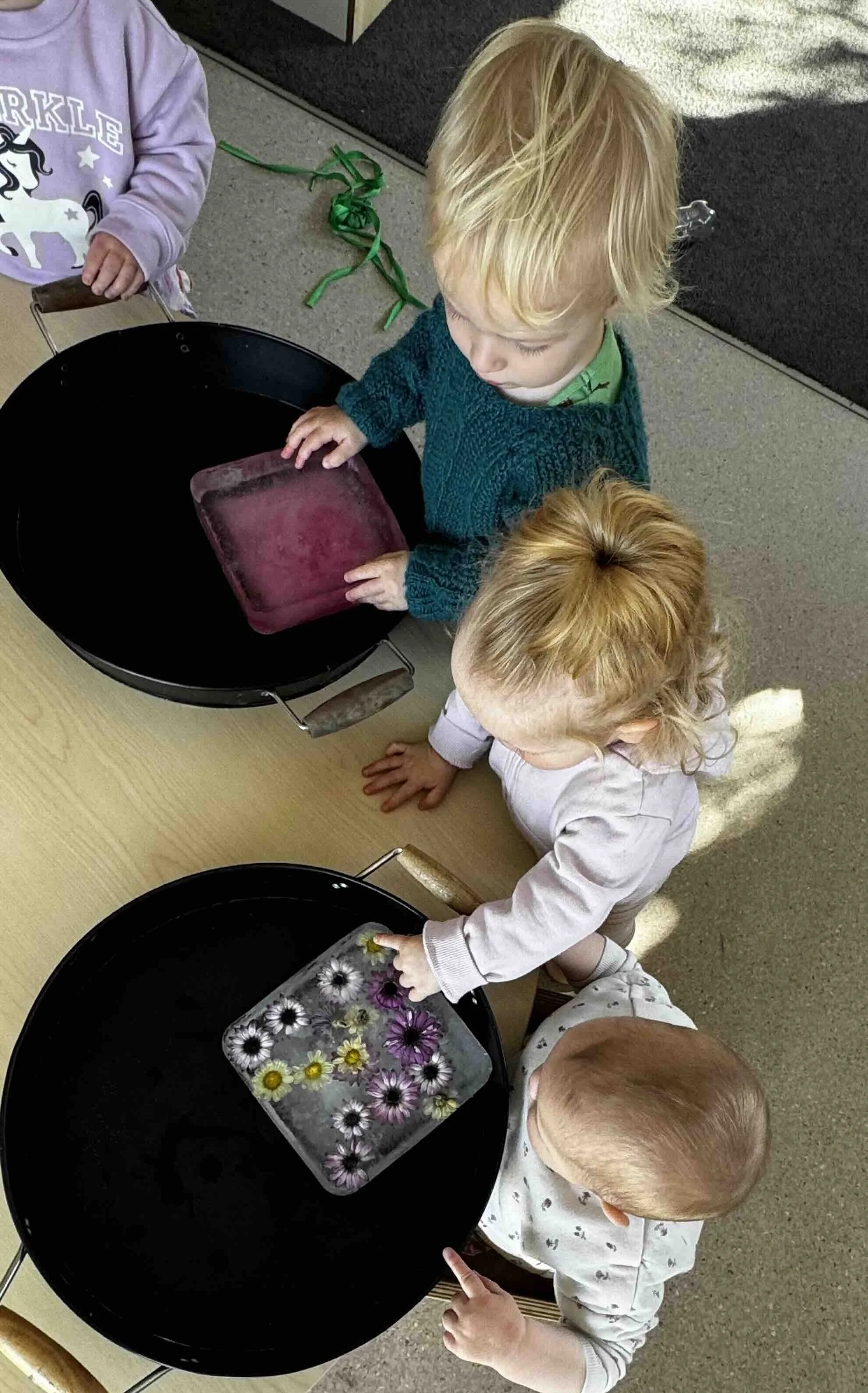 Exploring our senses