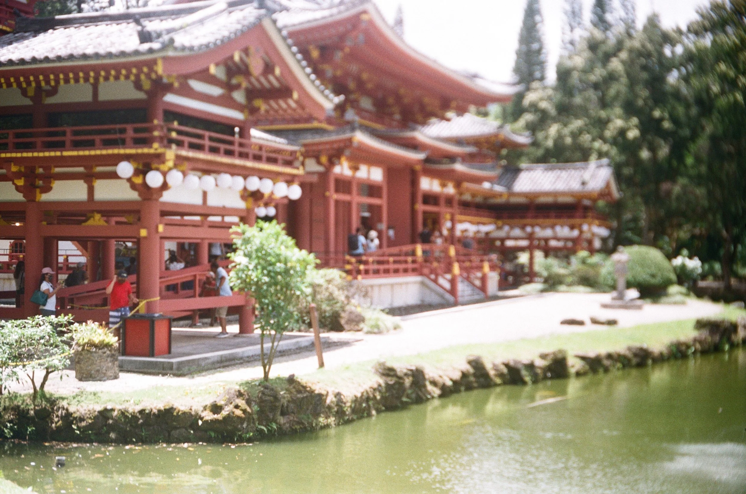 R0003_F017.jpg