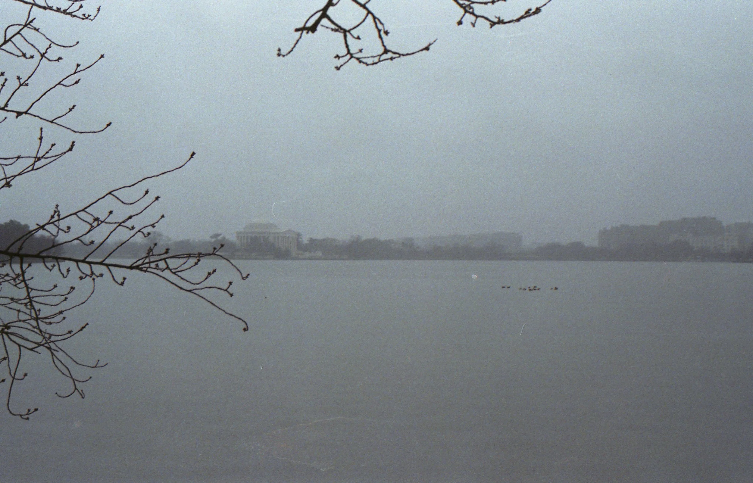 img801.jpg