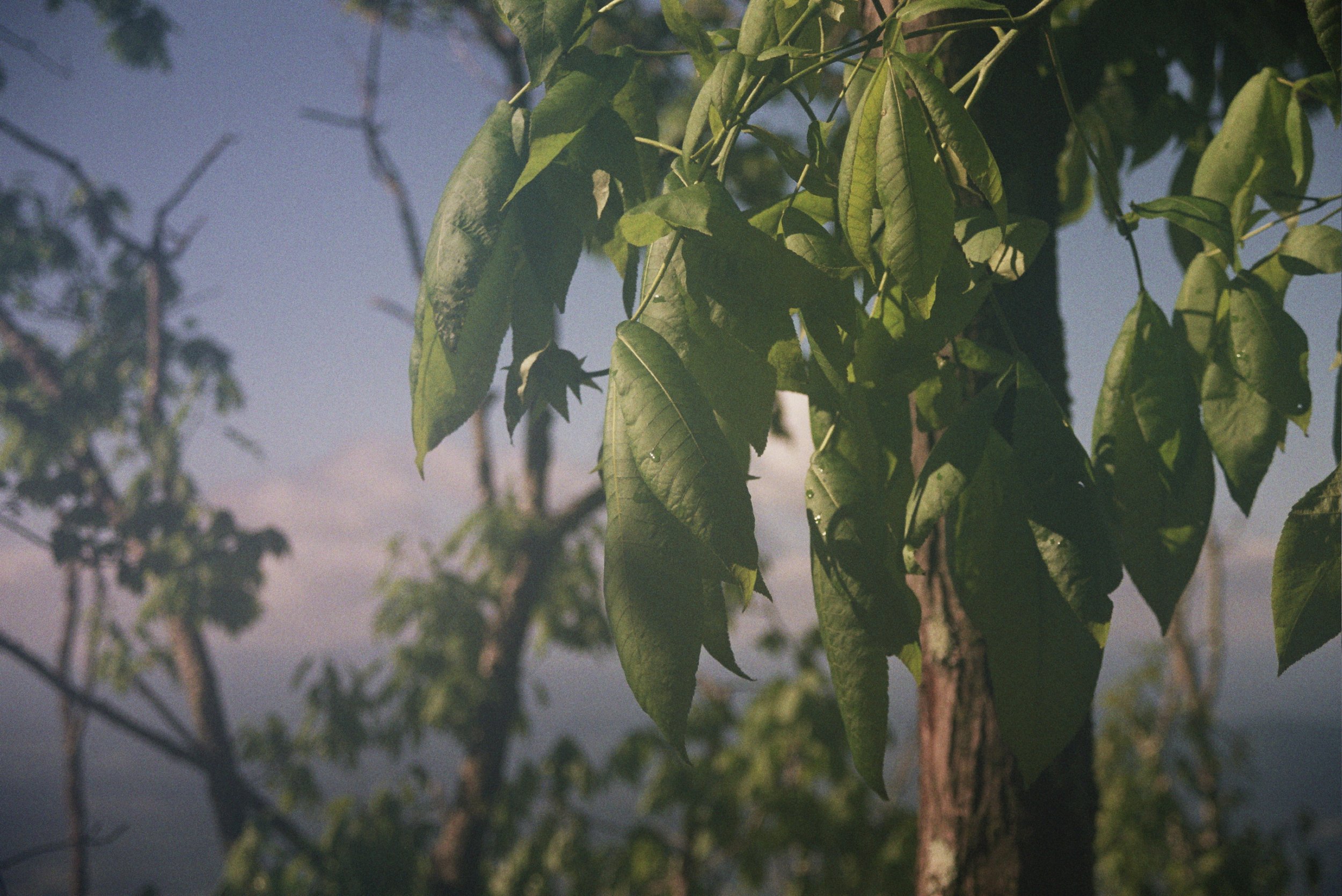 34A_1022.jpg