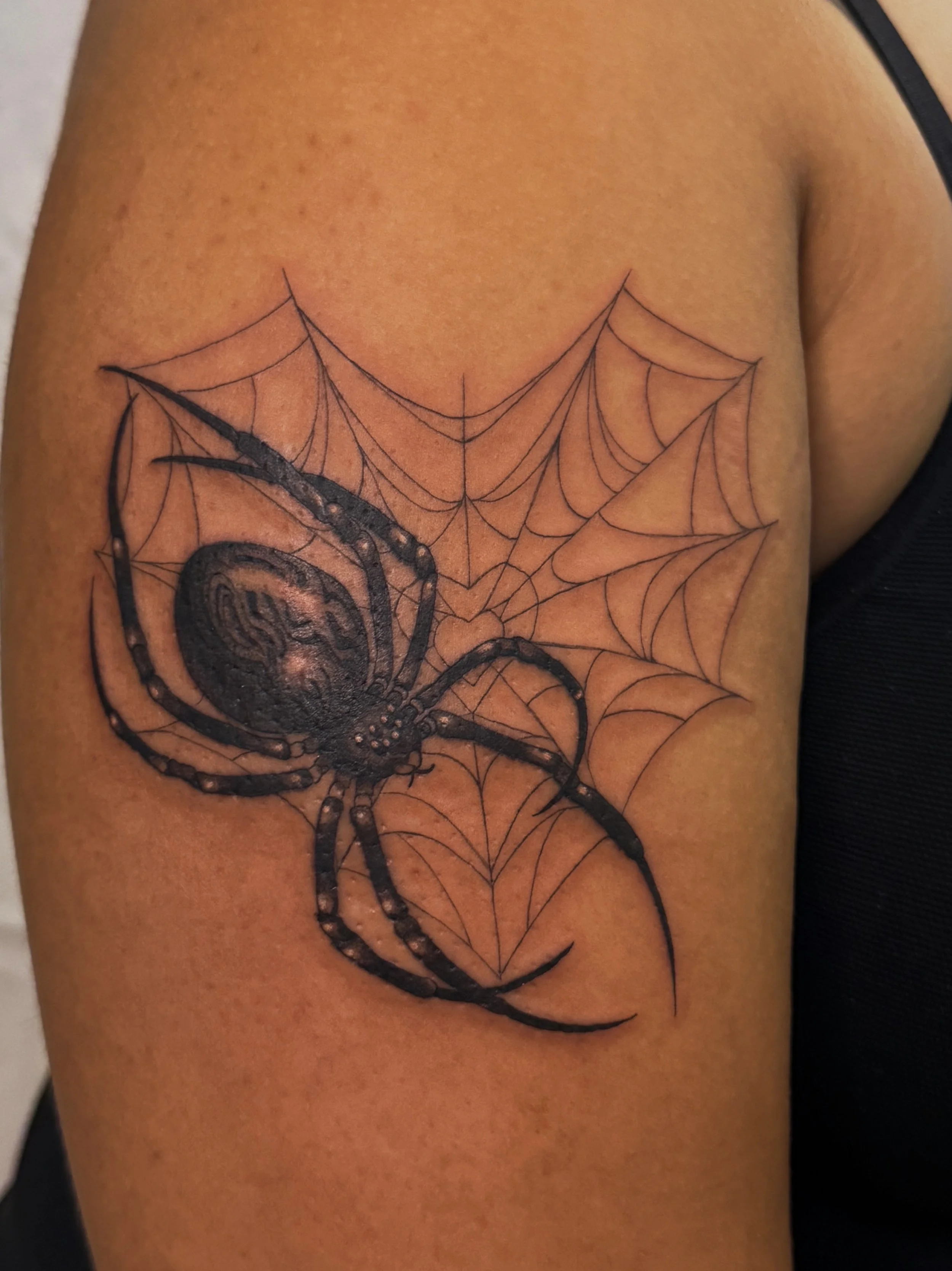 Best Spider Heart Tattoo