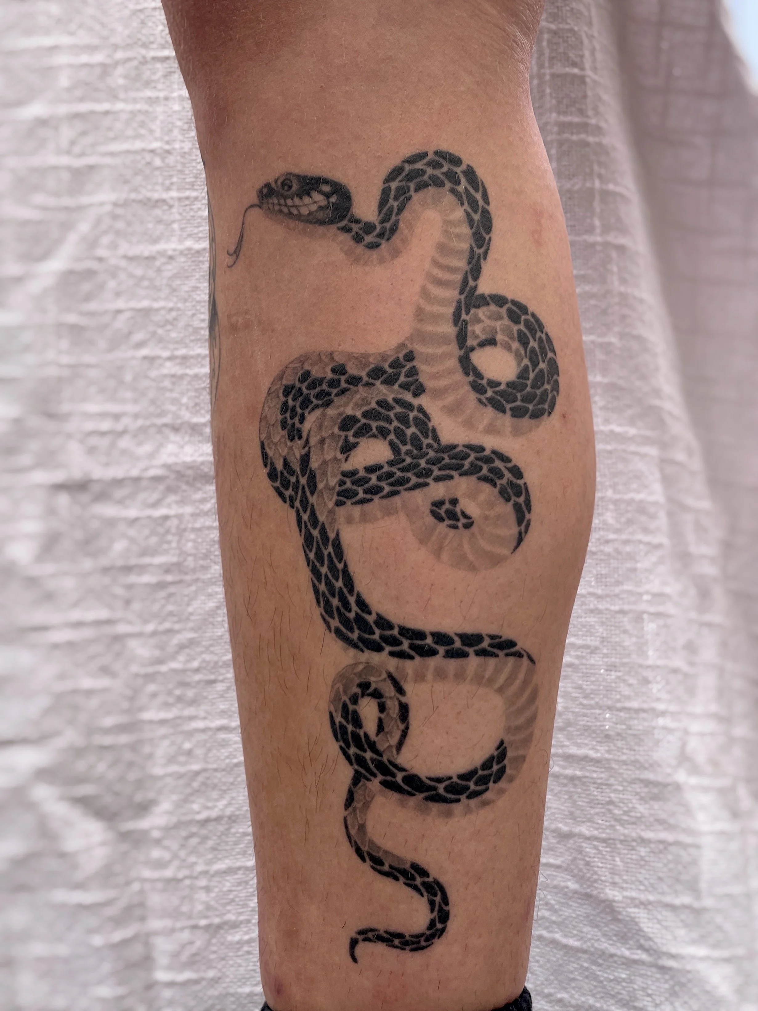 snake tattoo healed