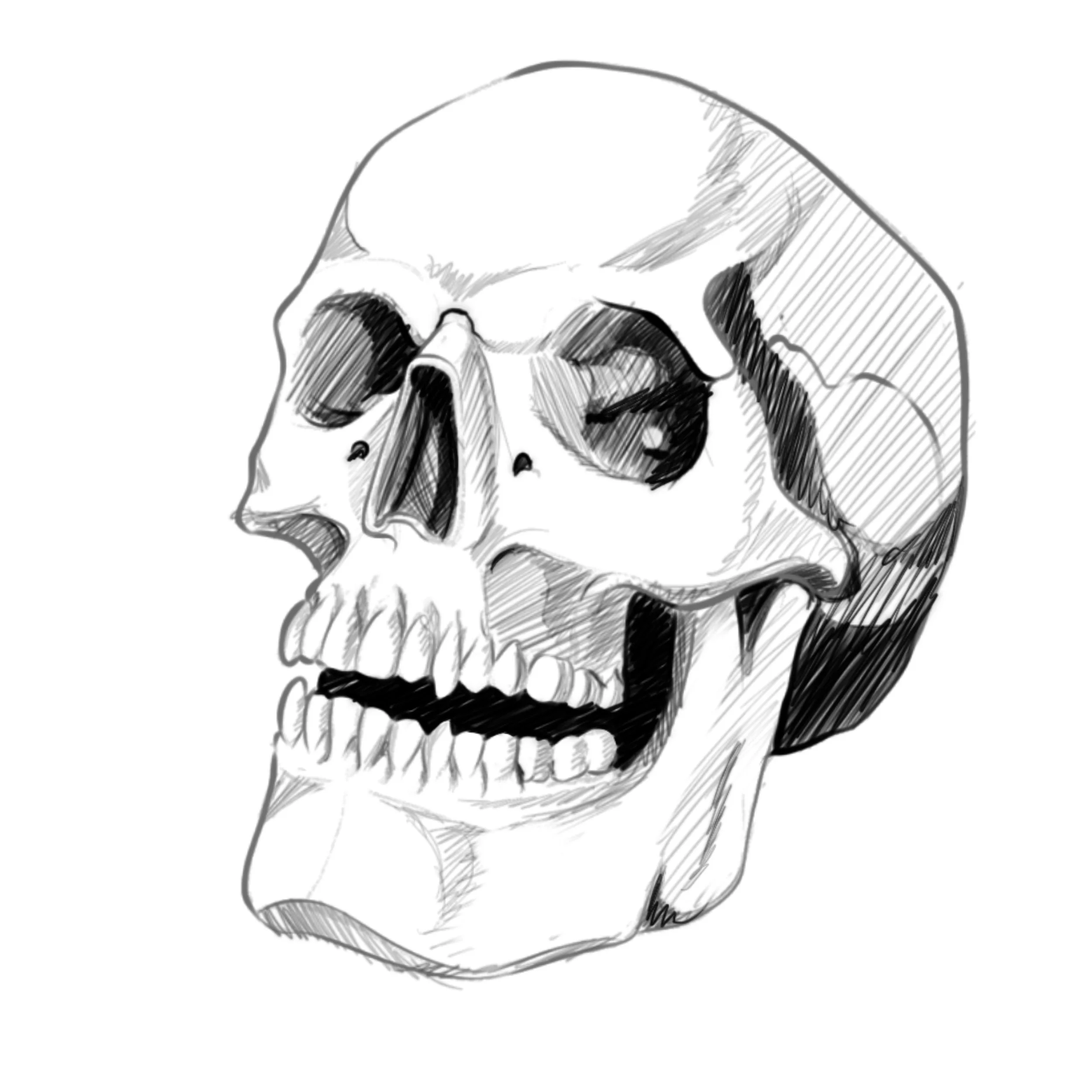 skull tattoo flash bipoc queer