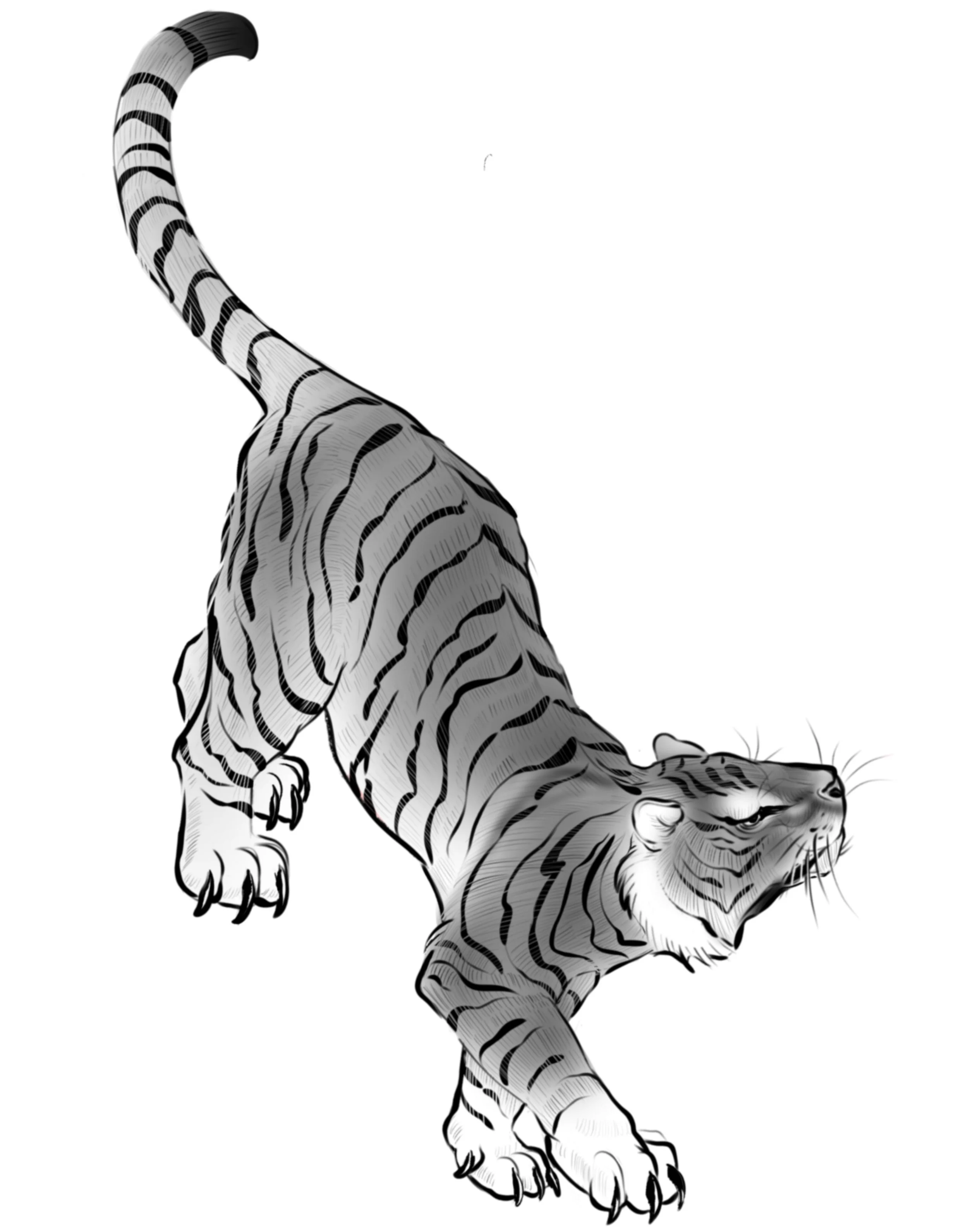 tiger tattoo black and grey queer filipino