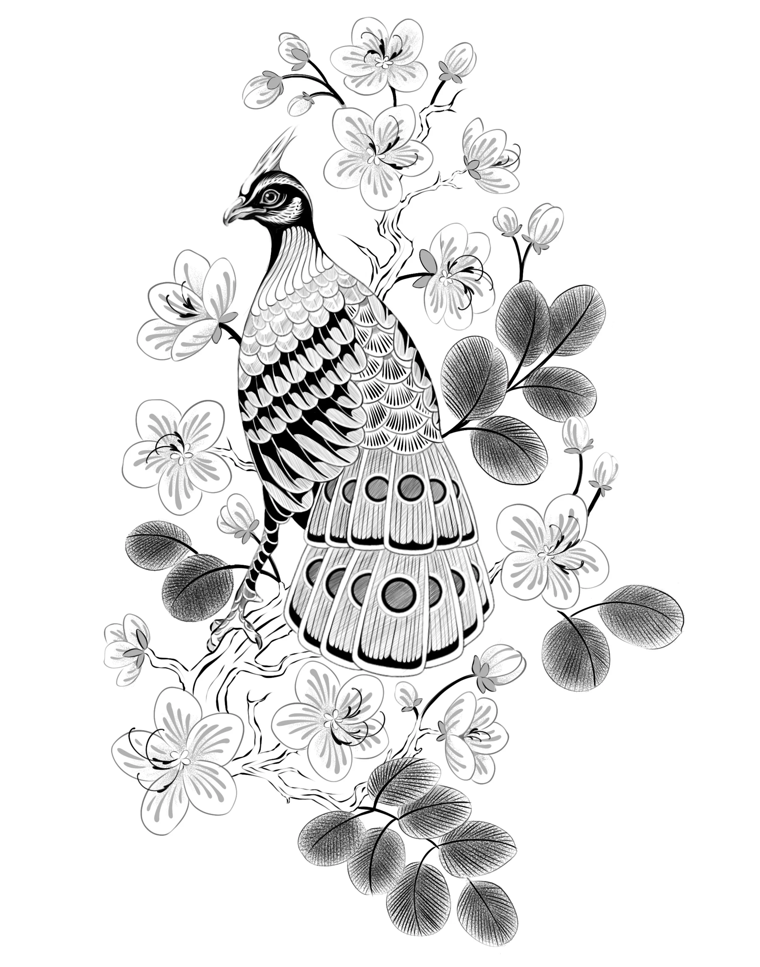 palawan peacock pheasant filipino tattoo half sleeve flowers black and grey black and white