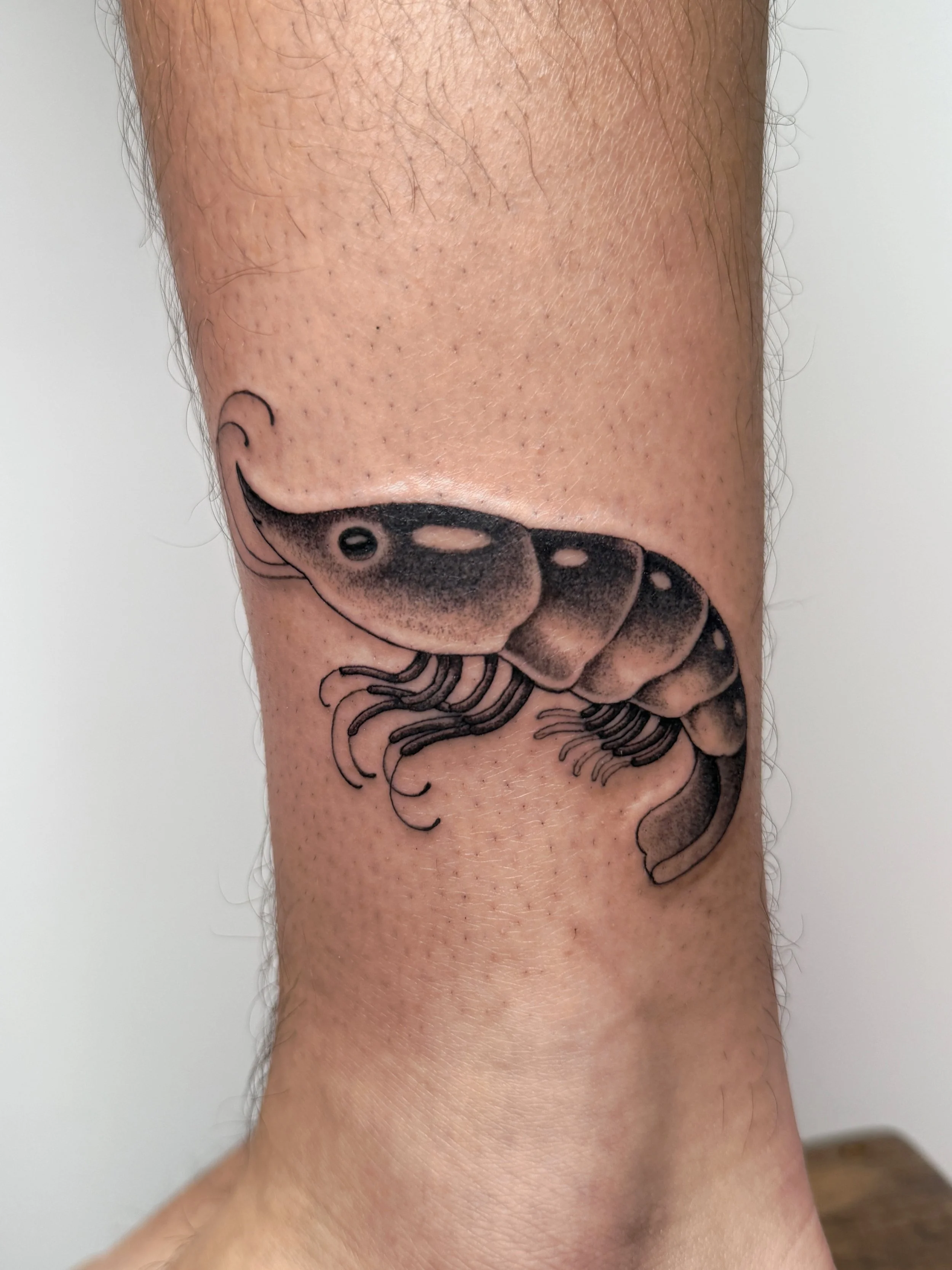 shrimp tattoo fineline