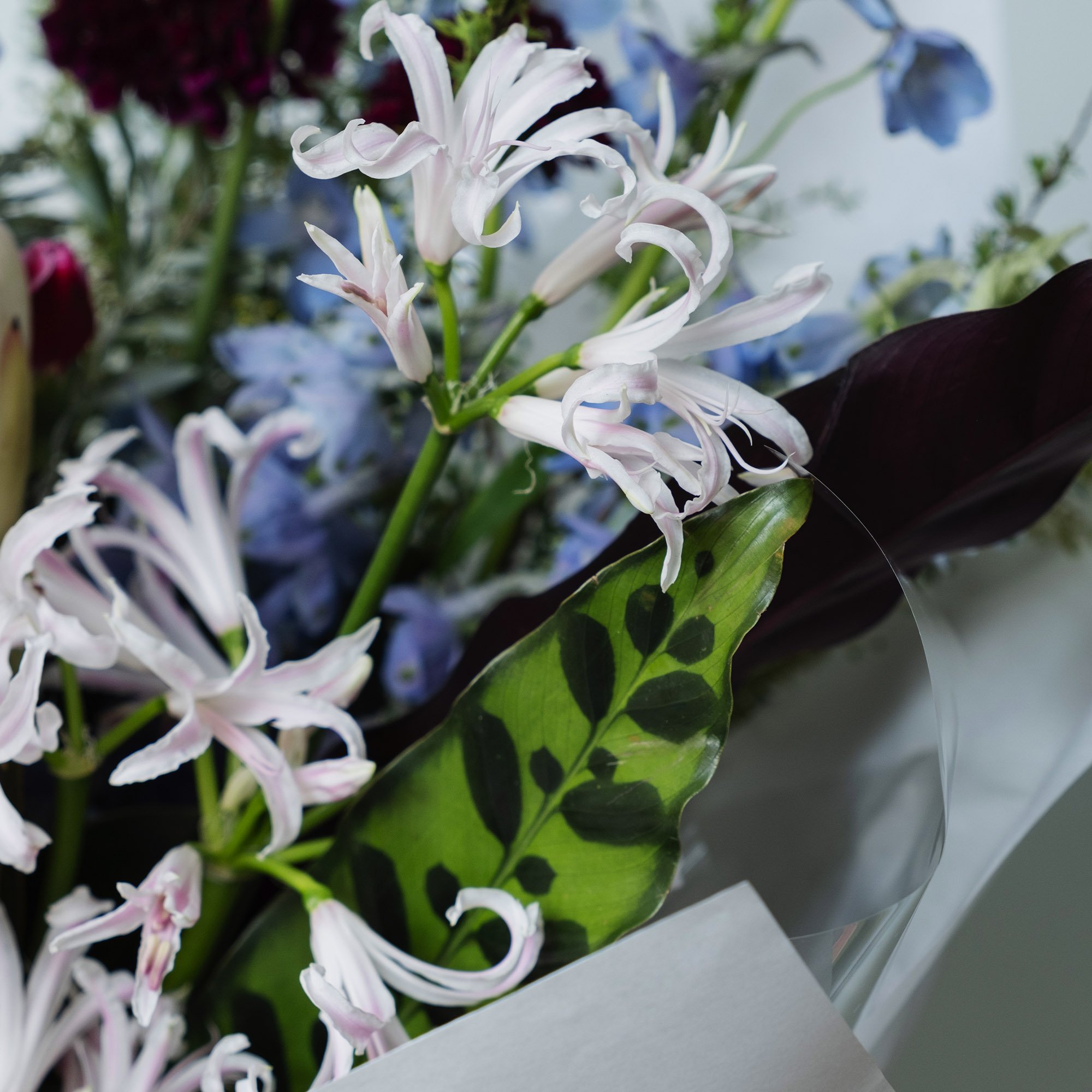 square_0005_DSCF5133 copy.jpg