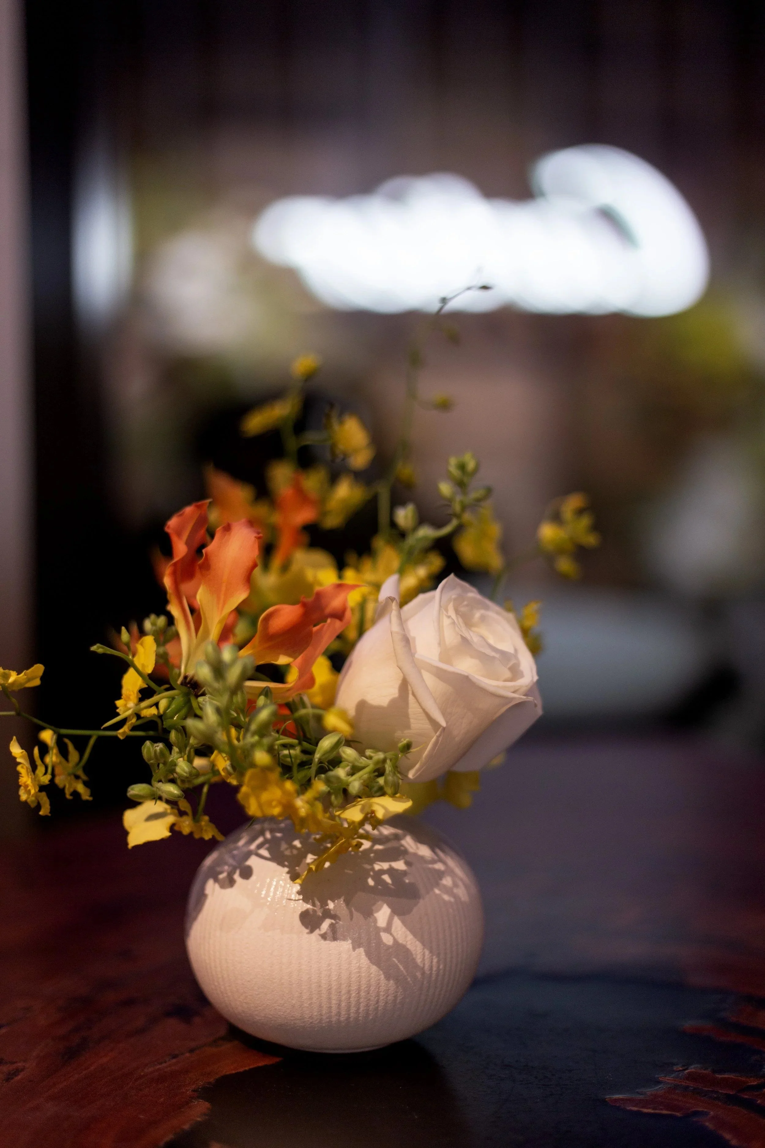 10_MG_4870_copy.jpg