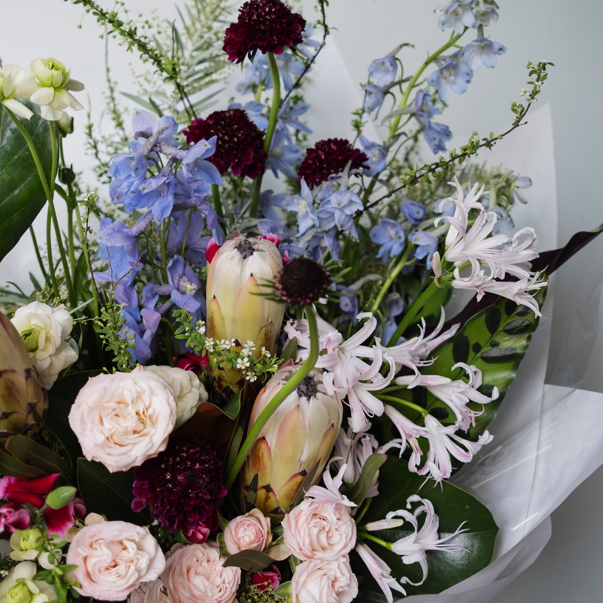 square_0007_DSCF5178 copy.jpg