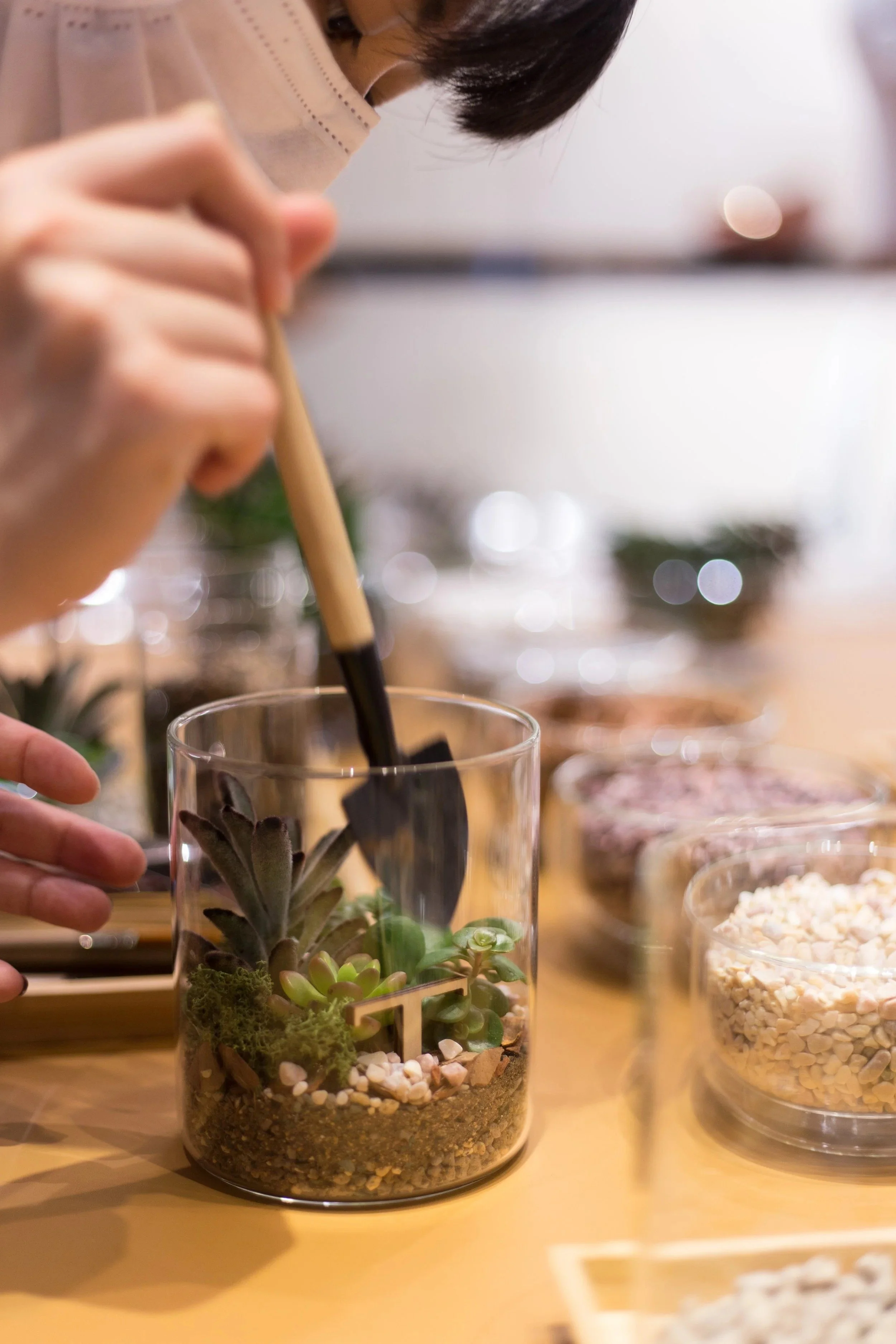 In-store Terrarium Workshop