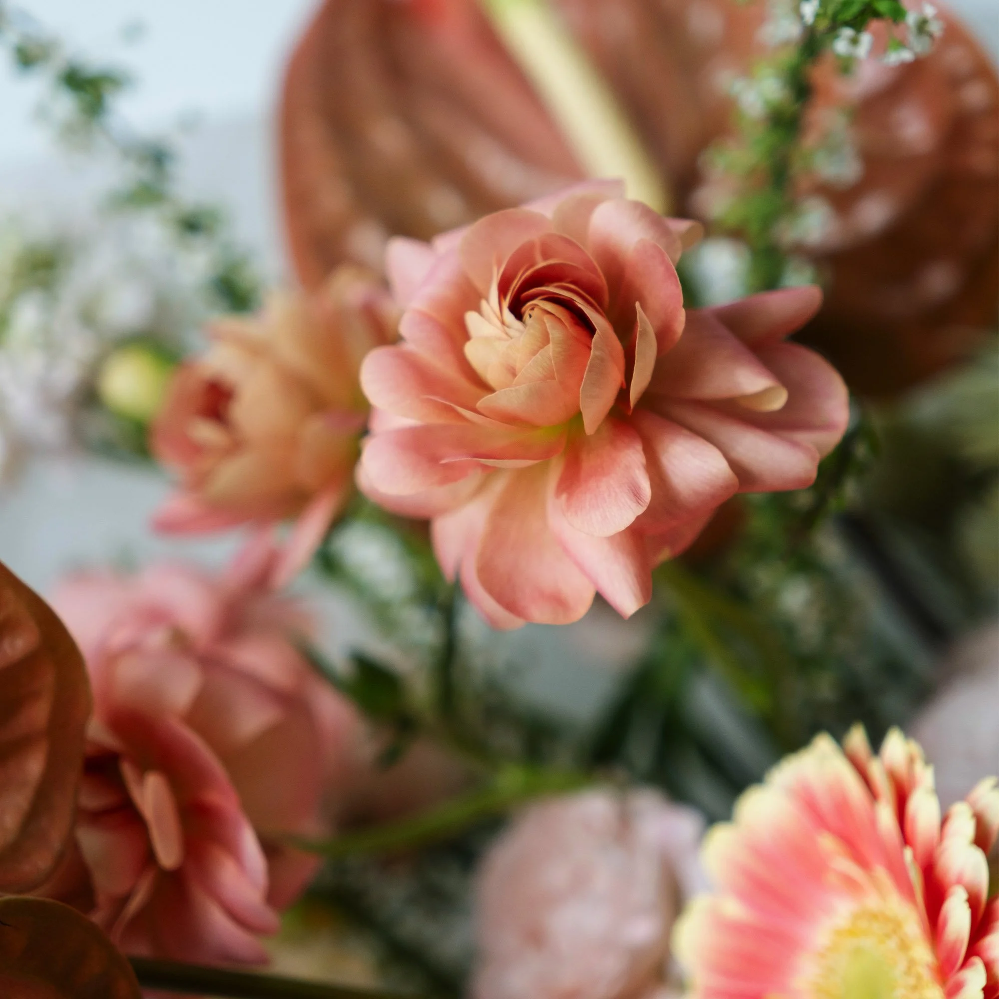 square_0010_DSCF5108 copy.jpg