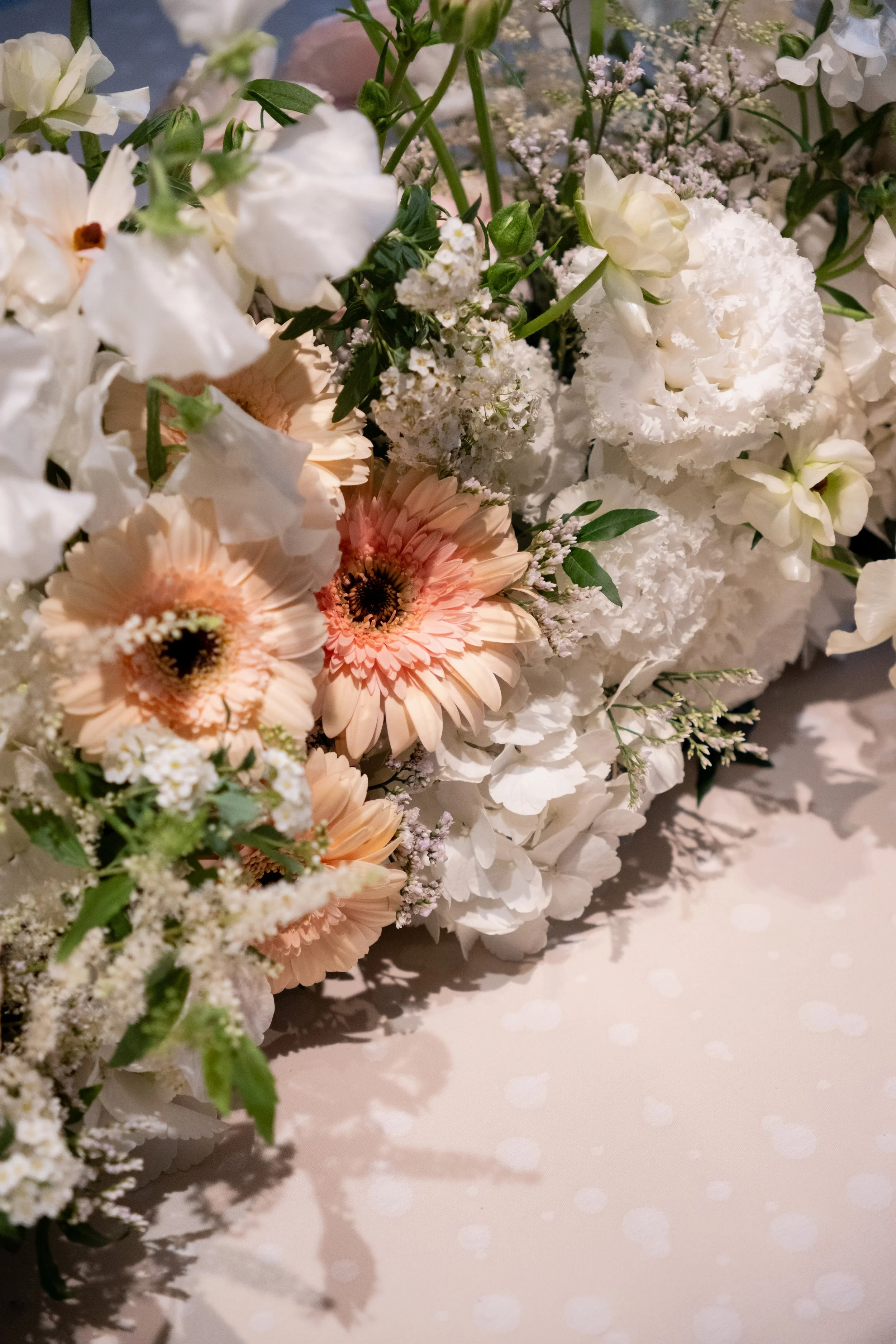 DSCF5558-2.jpg