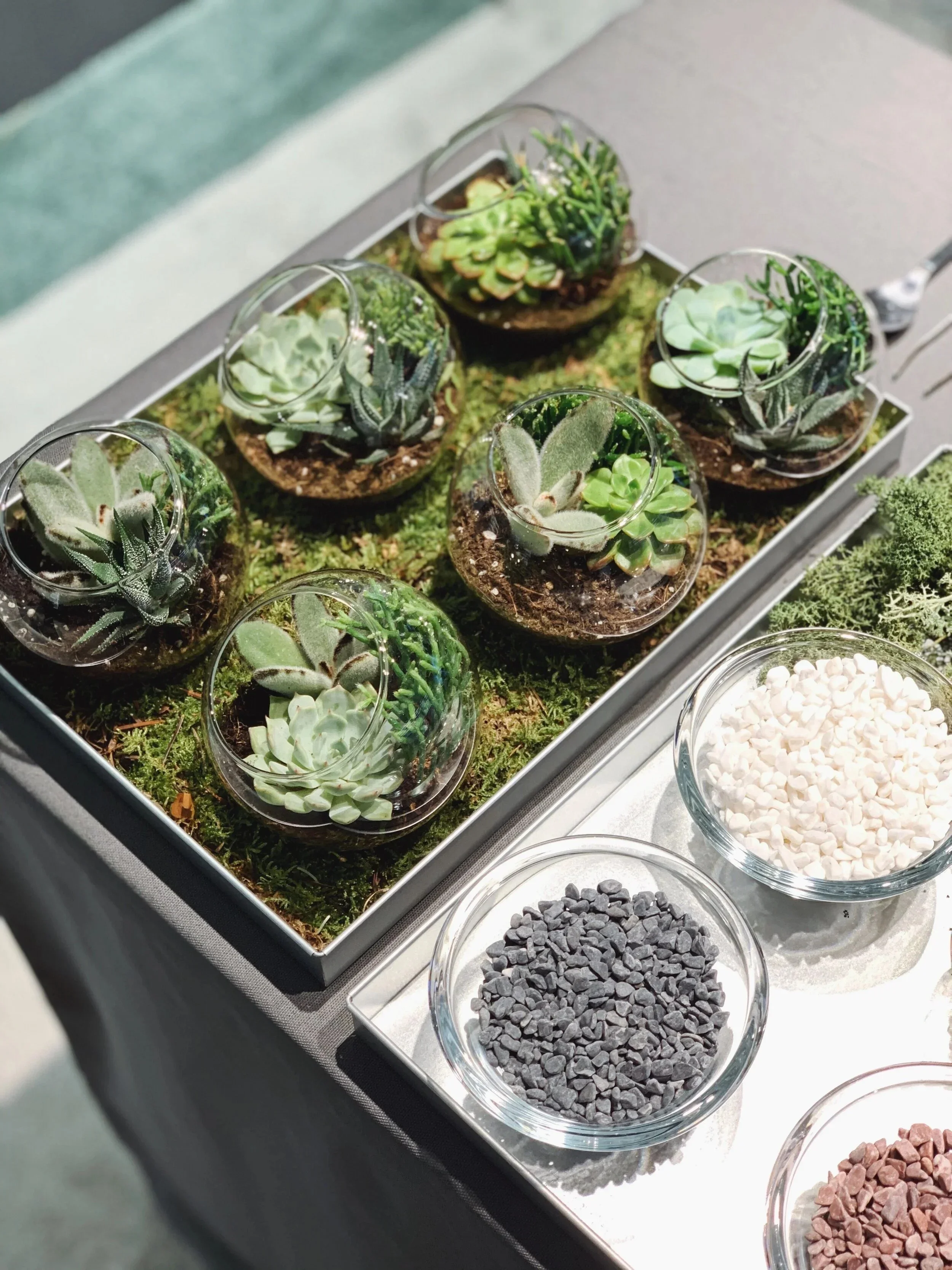 In-store VIP Plant Workshop