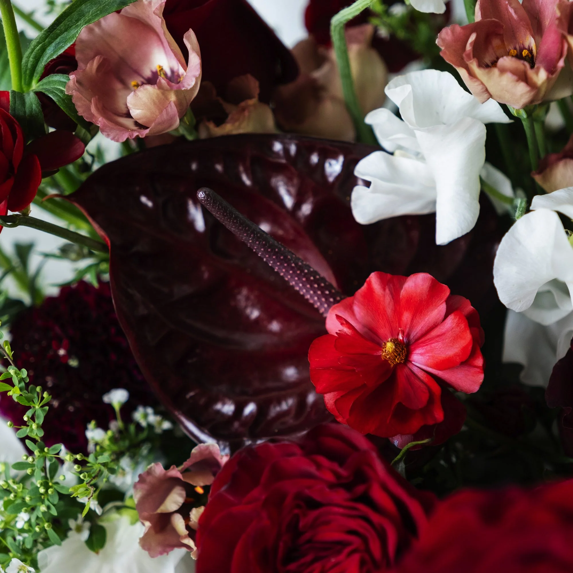 square_0016_DSCF5138 copy.jpg