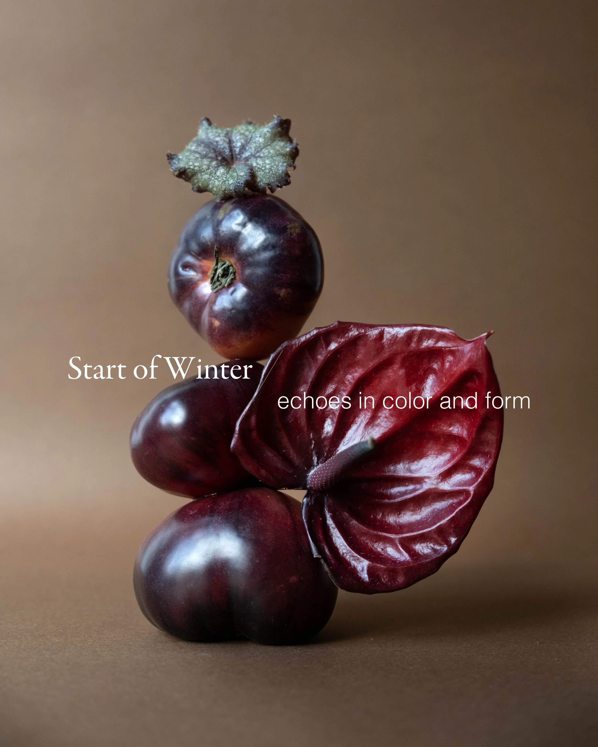 StartWinterWorkshop_Website.jpg