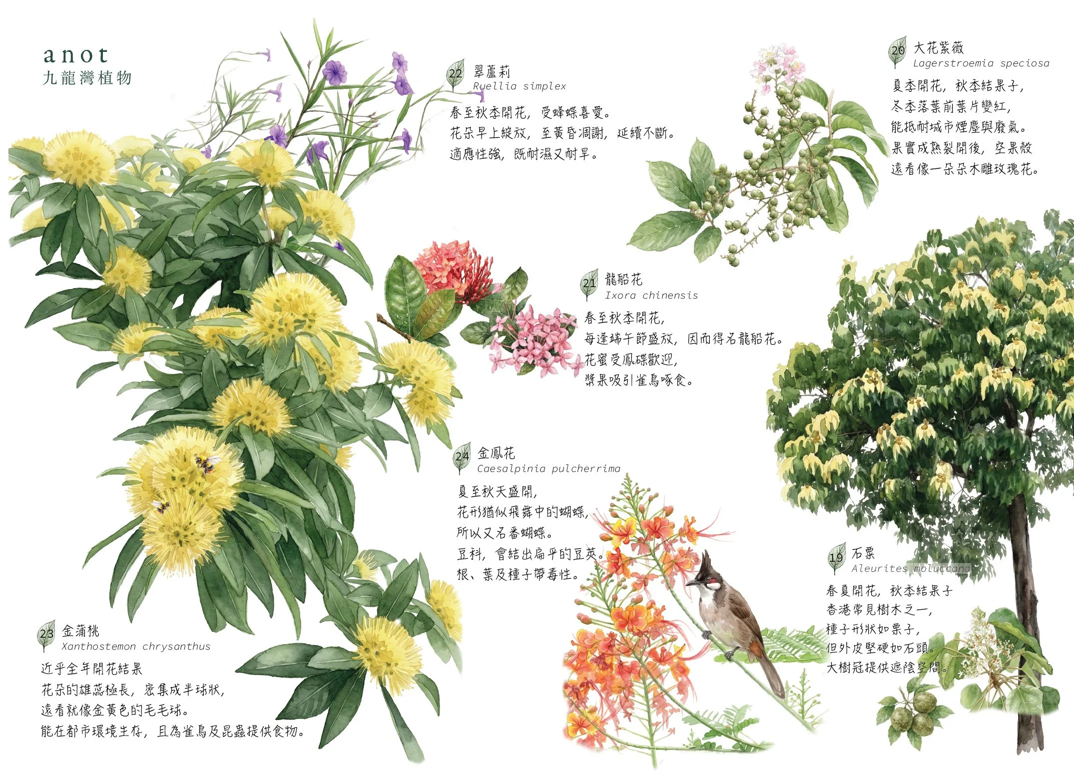 JPGonline_Kowloon Bay Map_Plant.jpg