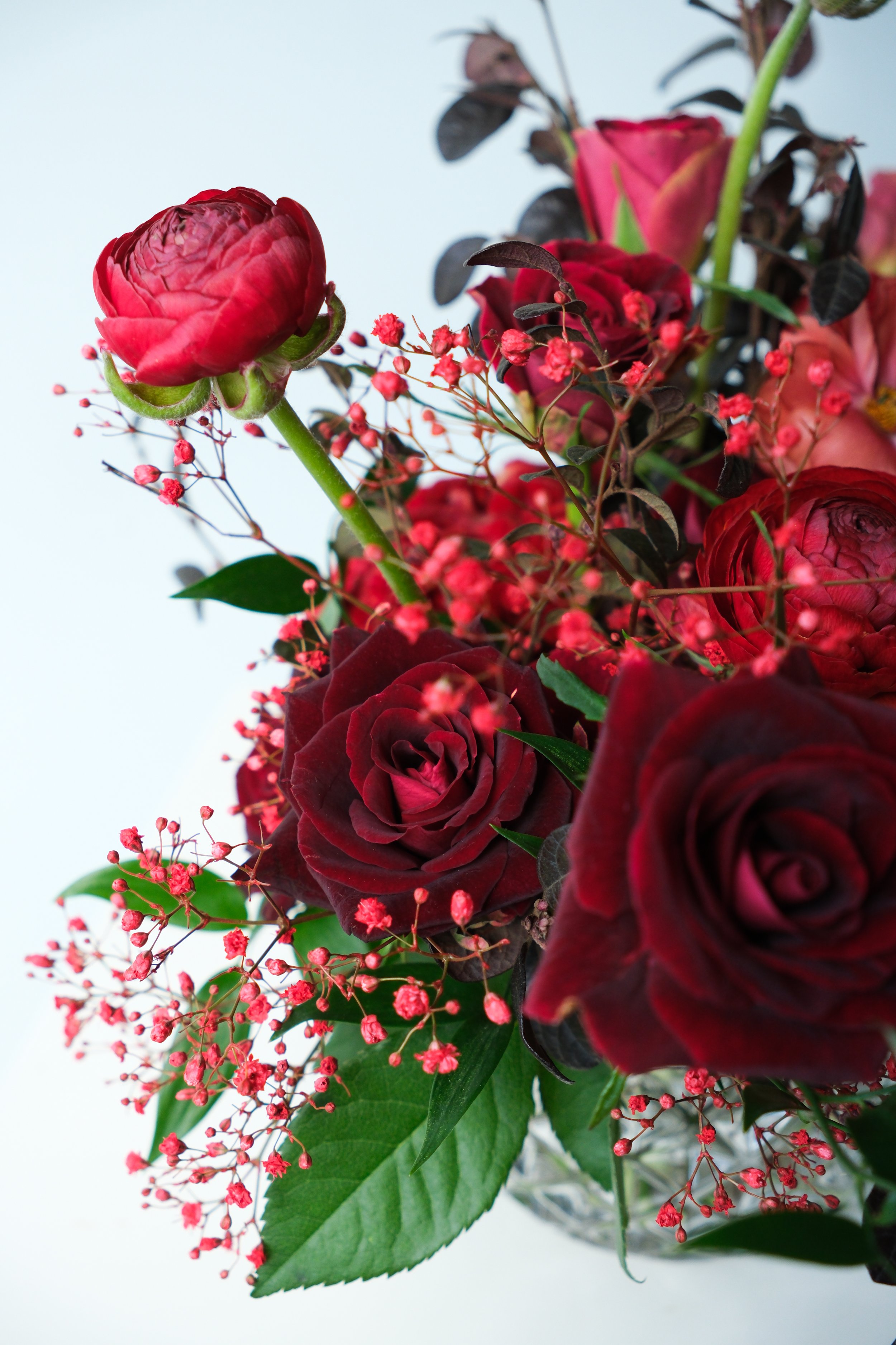DSCF5785.JPG