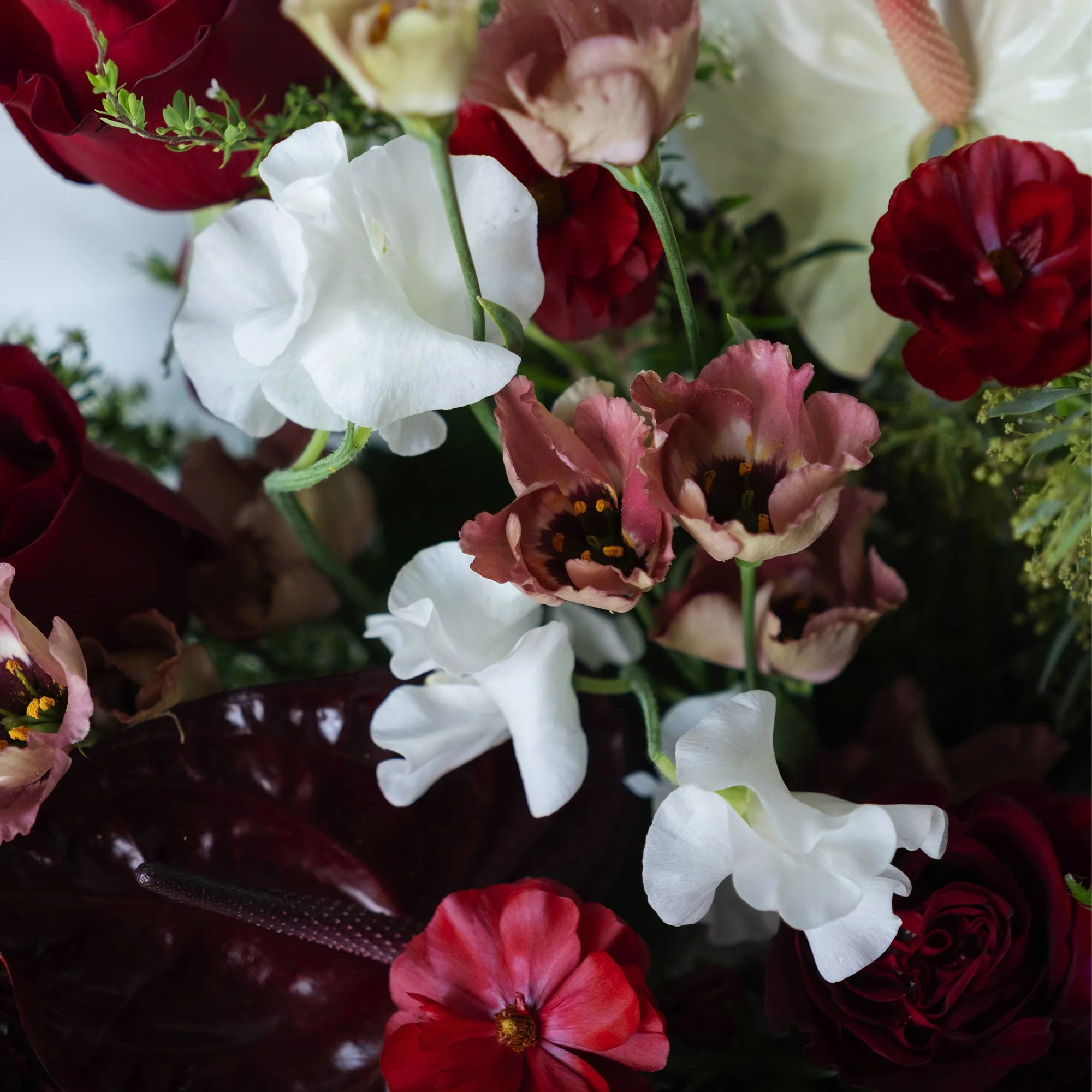 square_0014_DSCF5141 copy.jpg