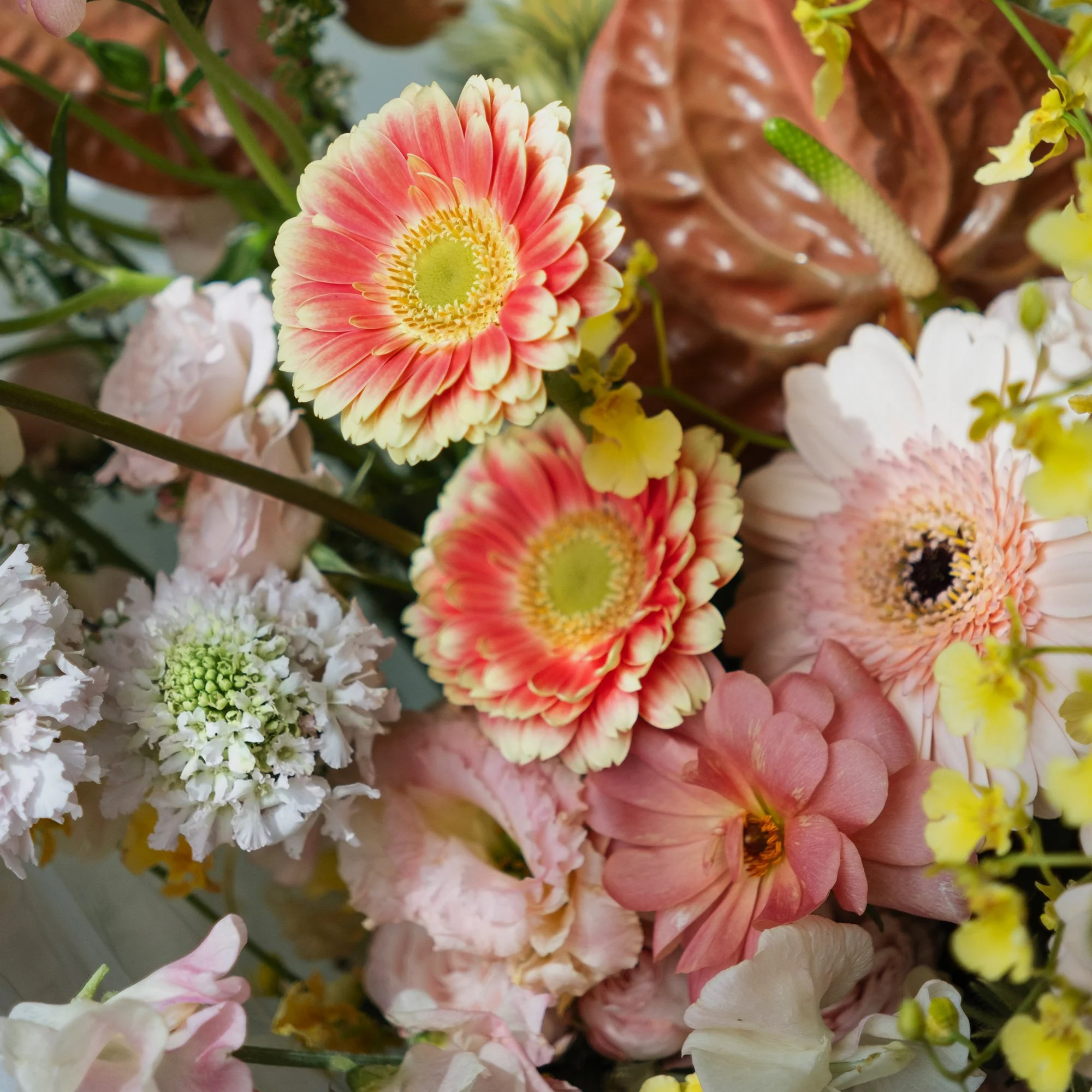 square_0011_DSCF5119 copy.jpg