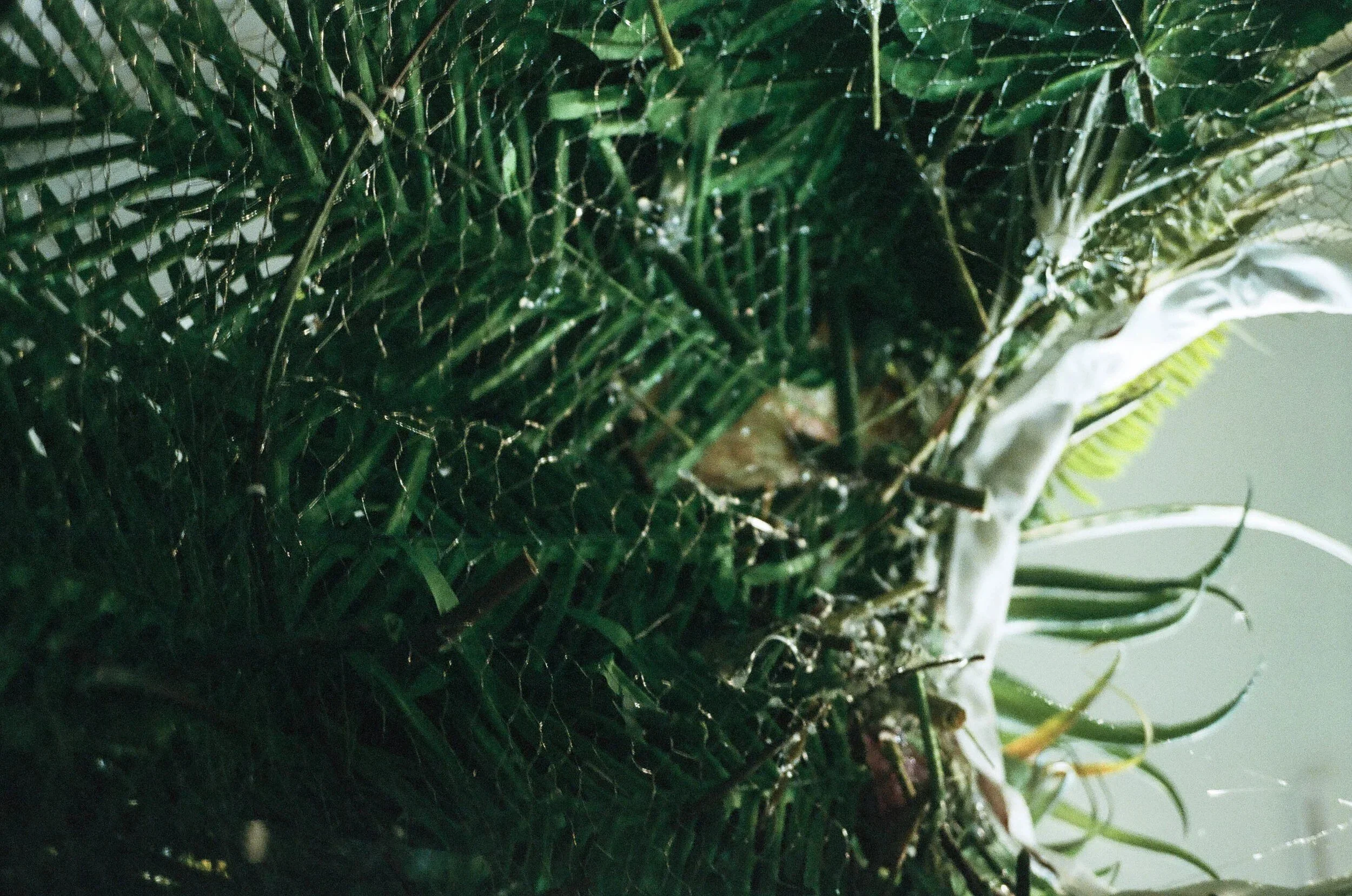 04_000021510015.jpg