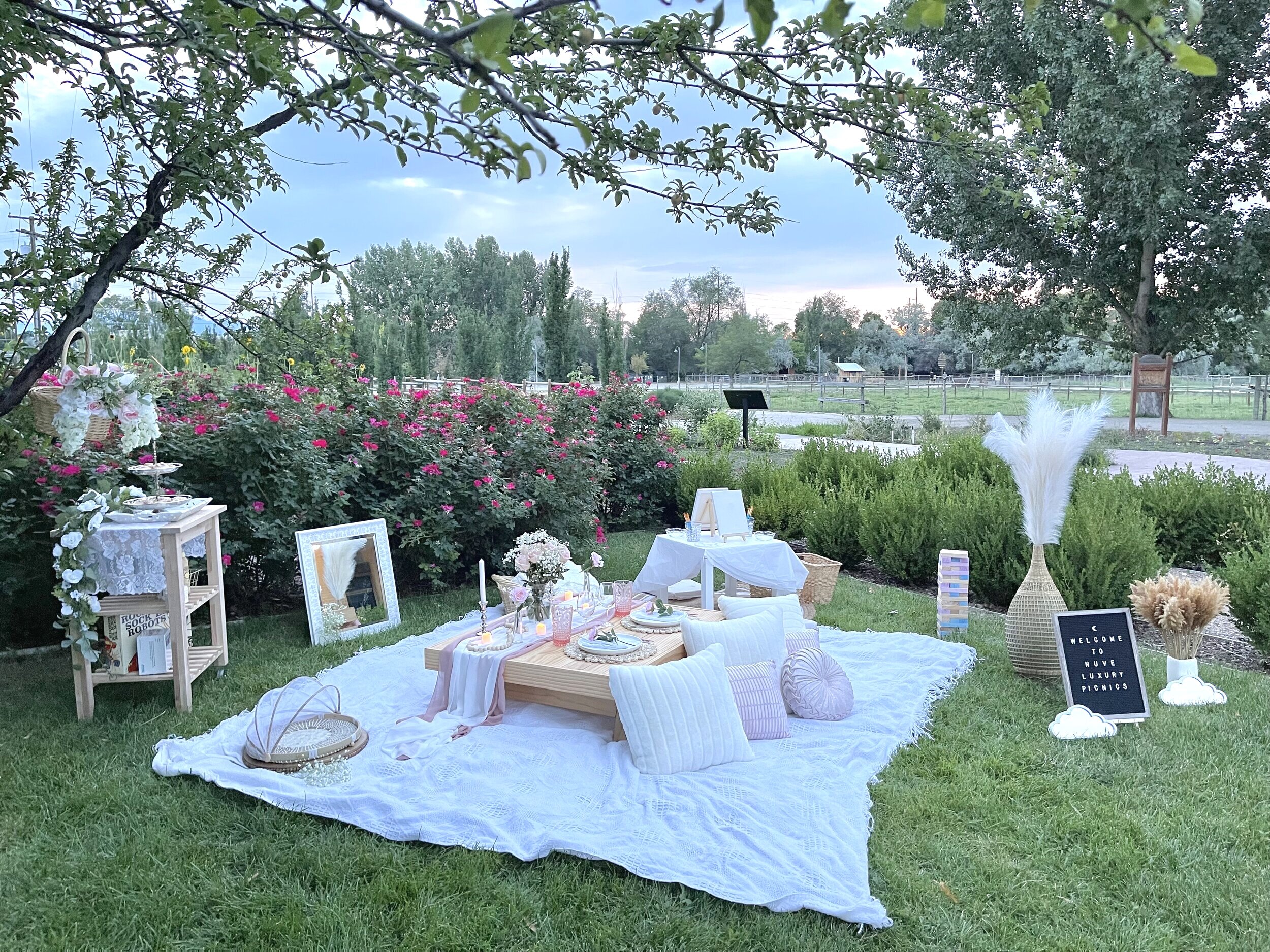 Luxury Picnics