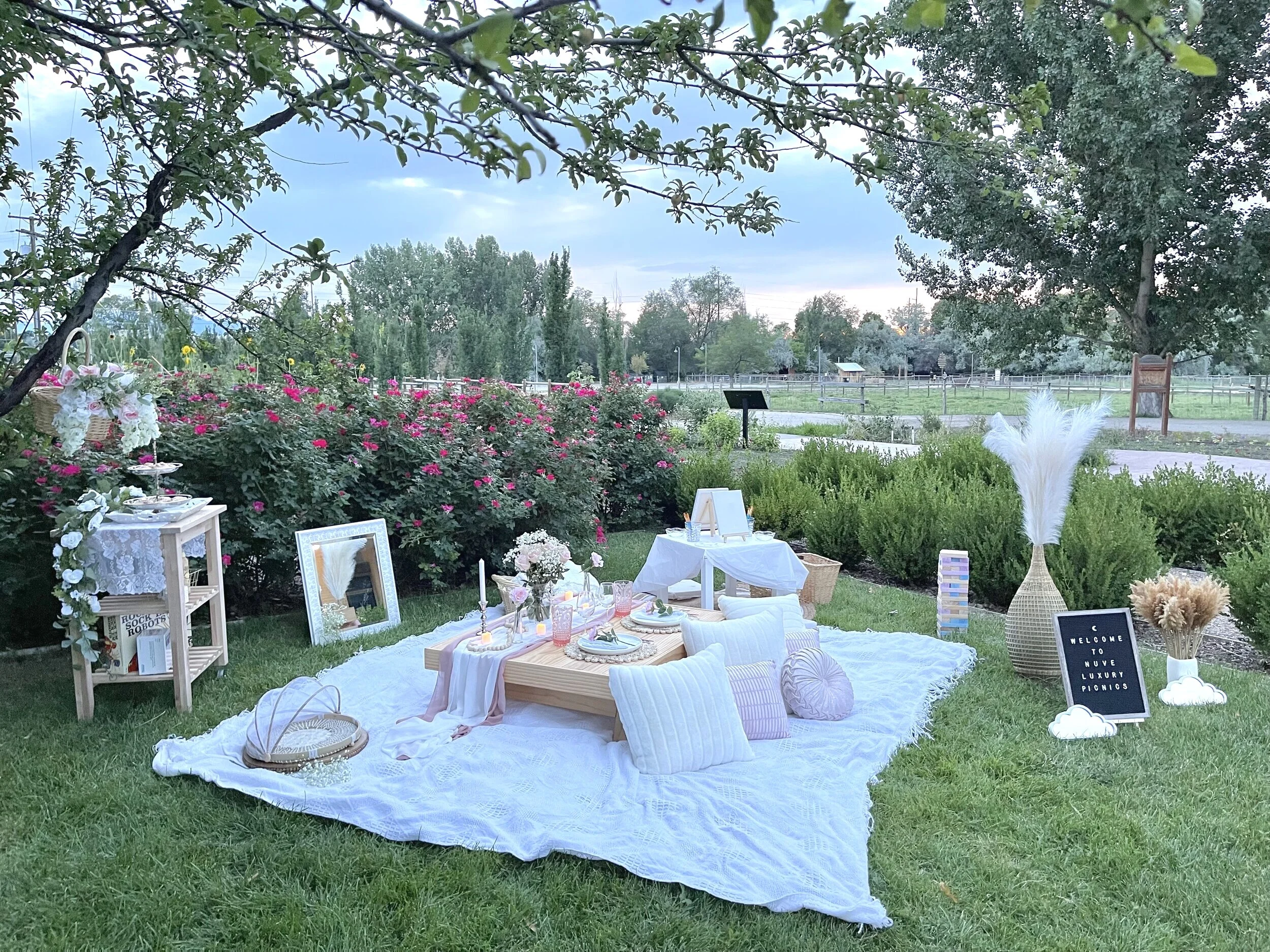 Nuve Luxury Picnics