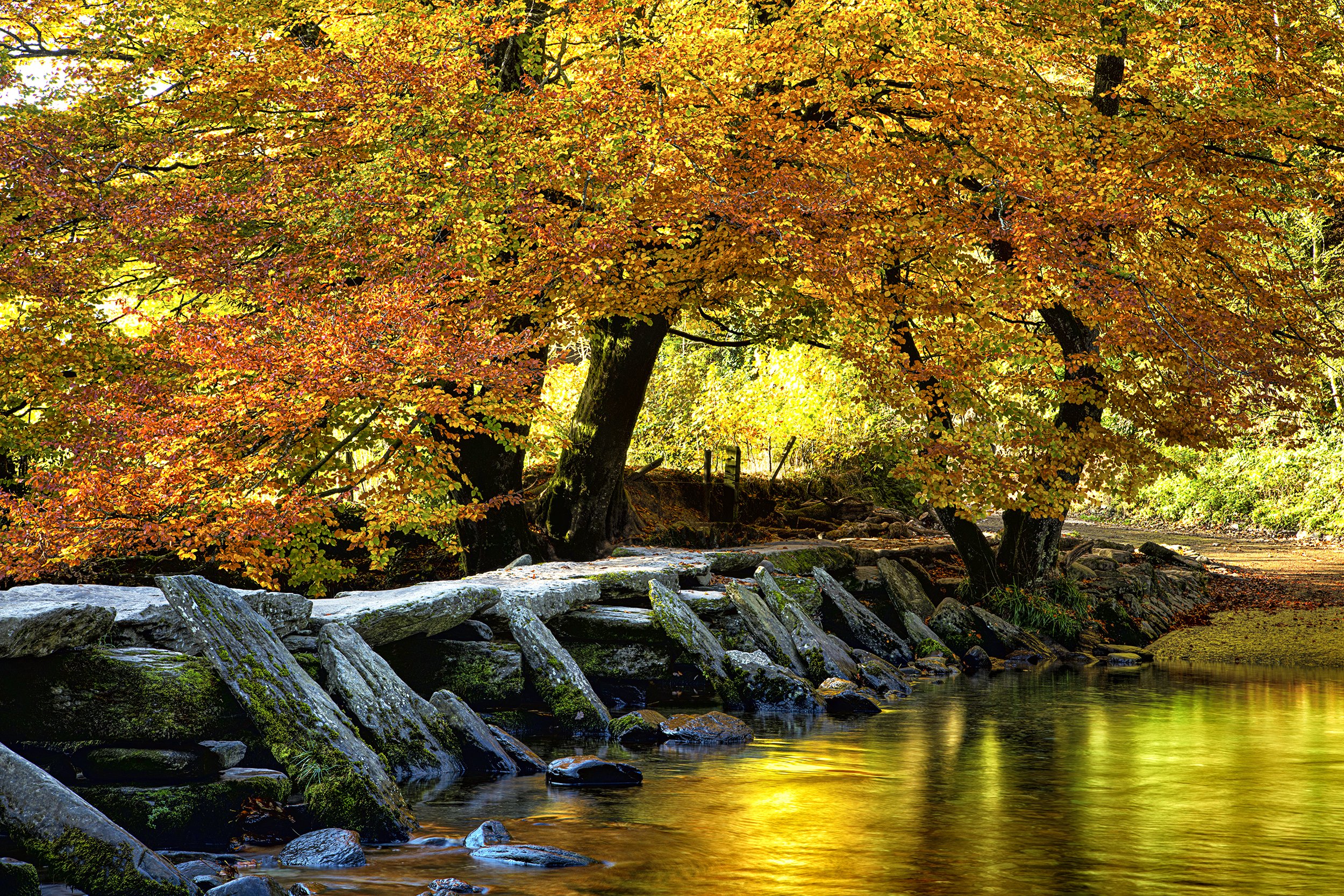 Tarr Steps_001 copy.jpg