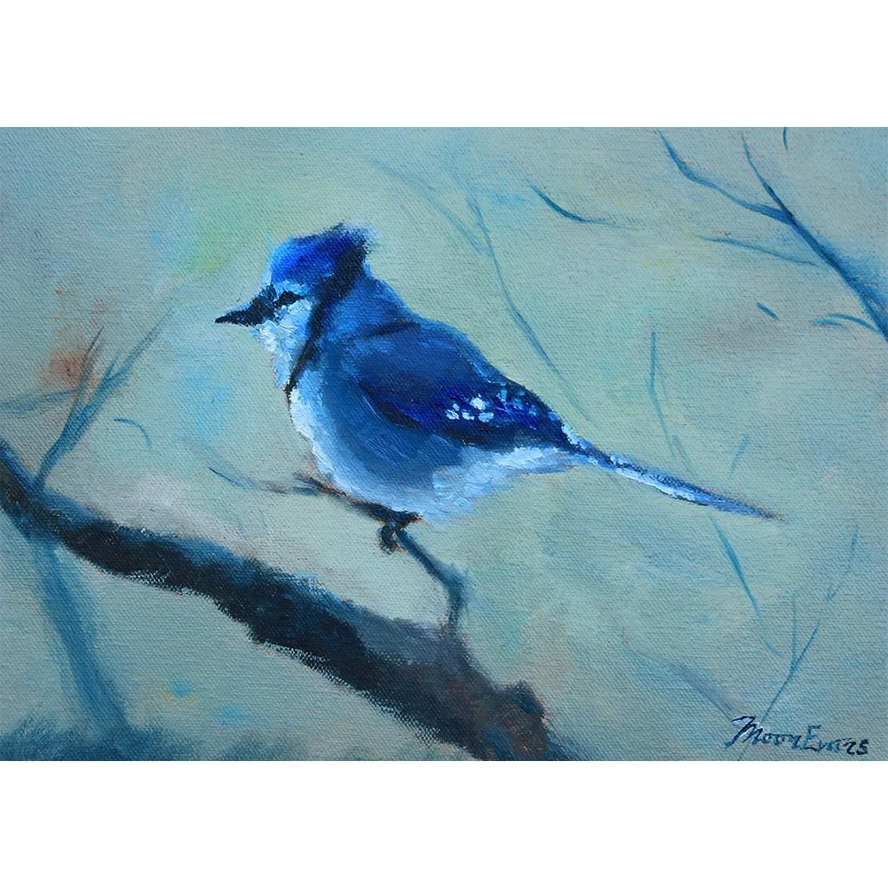 Blue Jay for Webpage.jpg