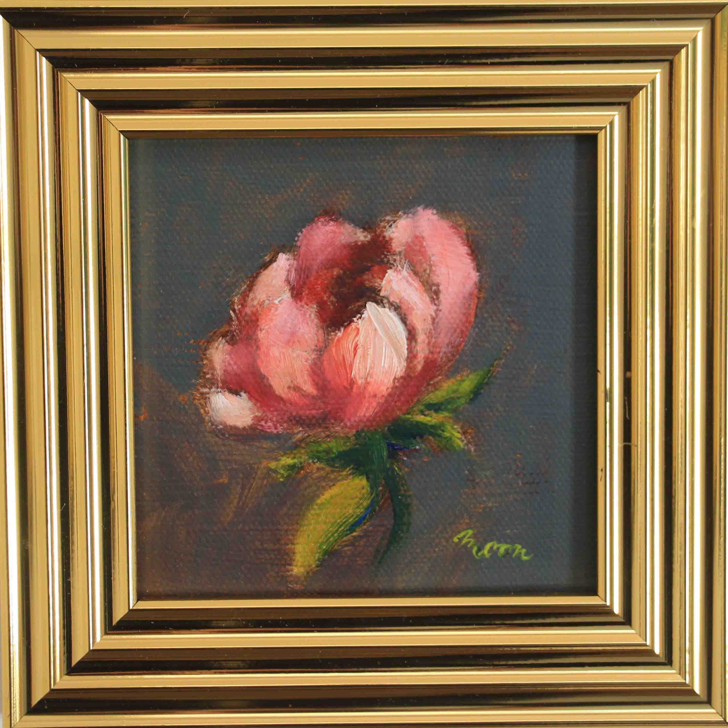 Peony 4" x 4" Framed