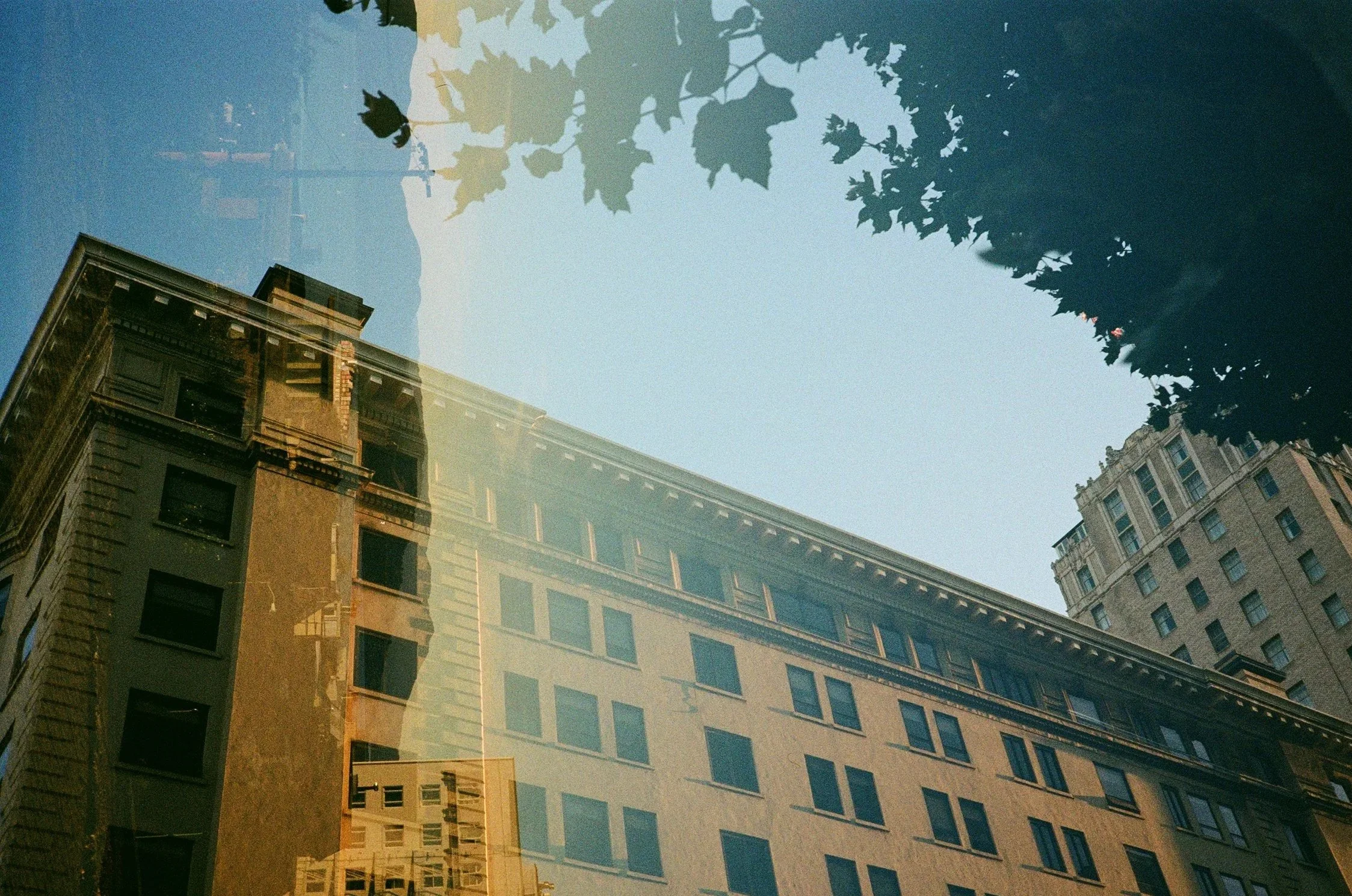 Los Angeles - 2023  - Kodak Gold