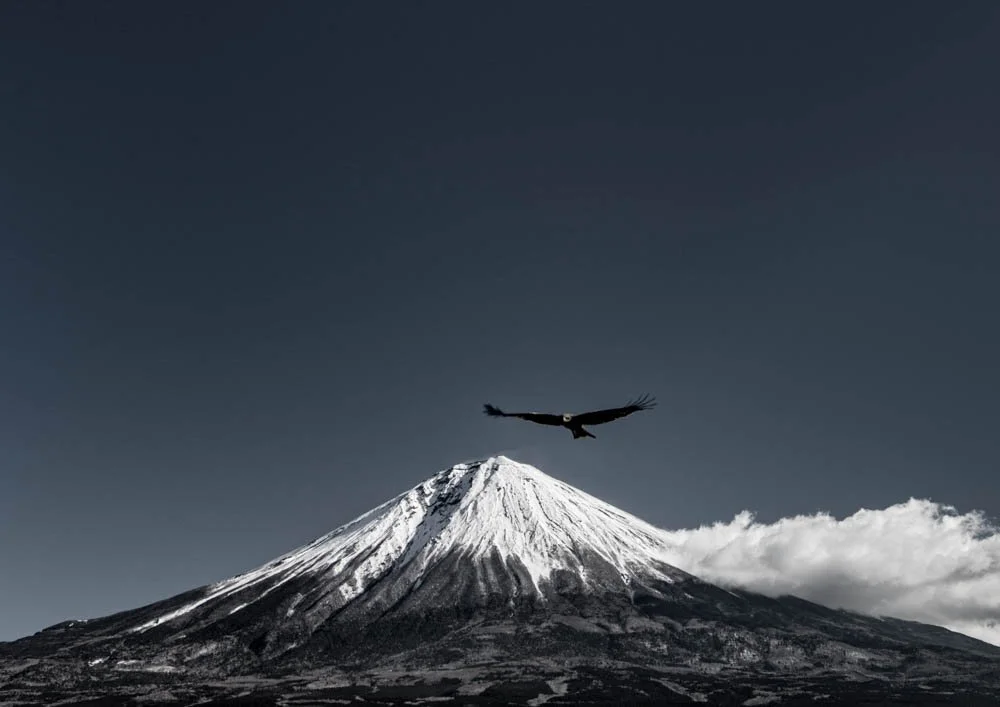 WebFuji-25.jpg