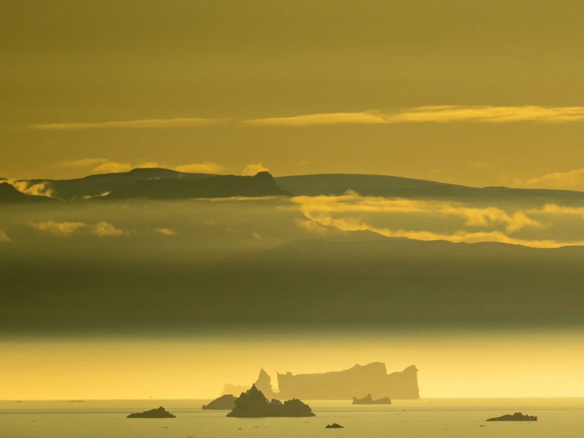 NZ8_6805.jpg