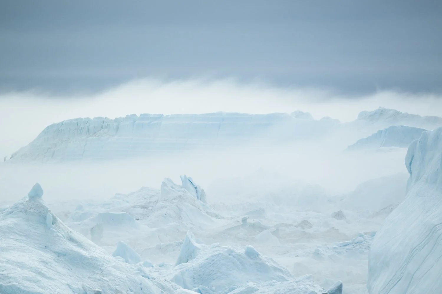 NZ8_6577.jpg