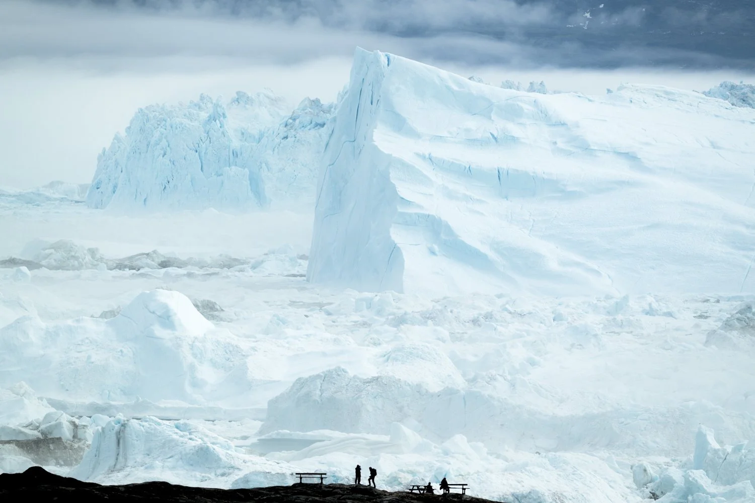 NZ8_6579.jpg