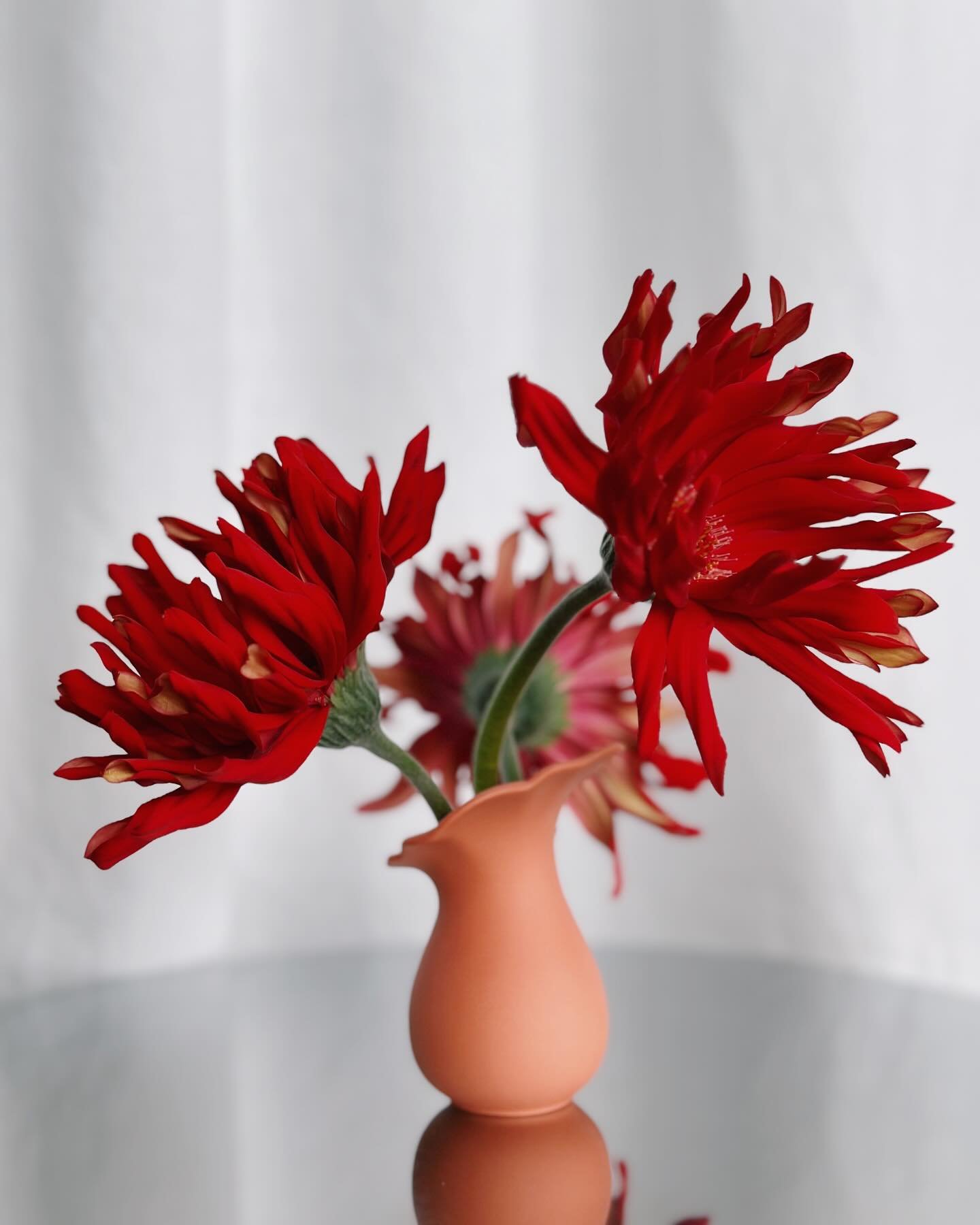 Florinda Minivase
Die Florinda Minivase, die auch als &ldquo;Happy Vase&rdquo; bezeichnet werden k&ouml;nnte, verk&ouml;rpert Frische und Jugendlichkeit. Ihre farbenfrohe Ausstrahlung macht sofort gute Laune und passt ideal zu lebhaften Blumen wie de