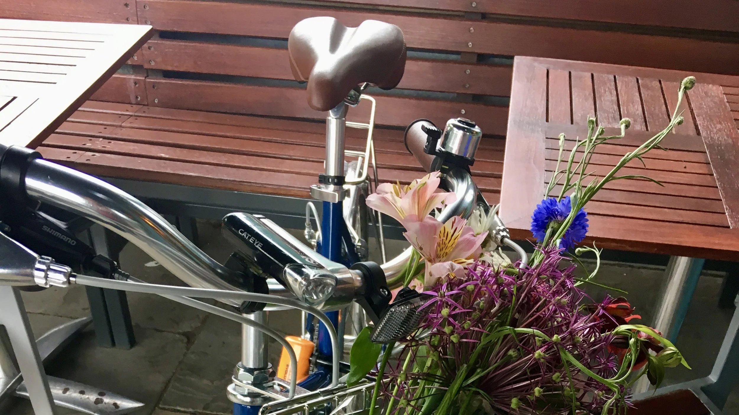 "Cycle tracks will abound in Utopia"